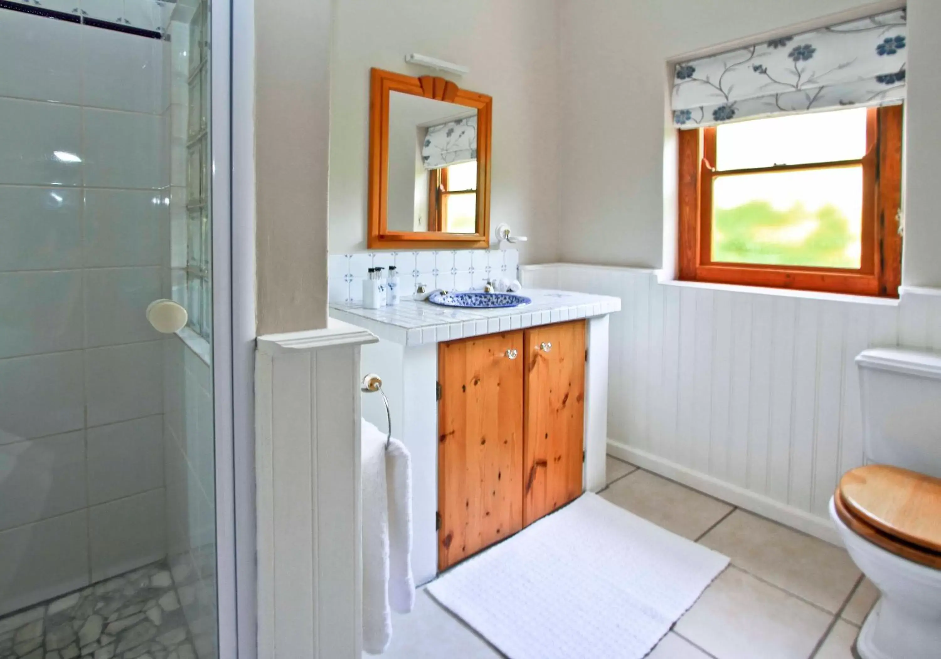 Shower, Bathroom in Montagu Vines Guesthouse
