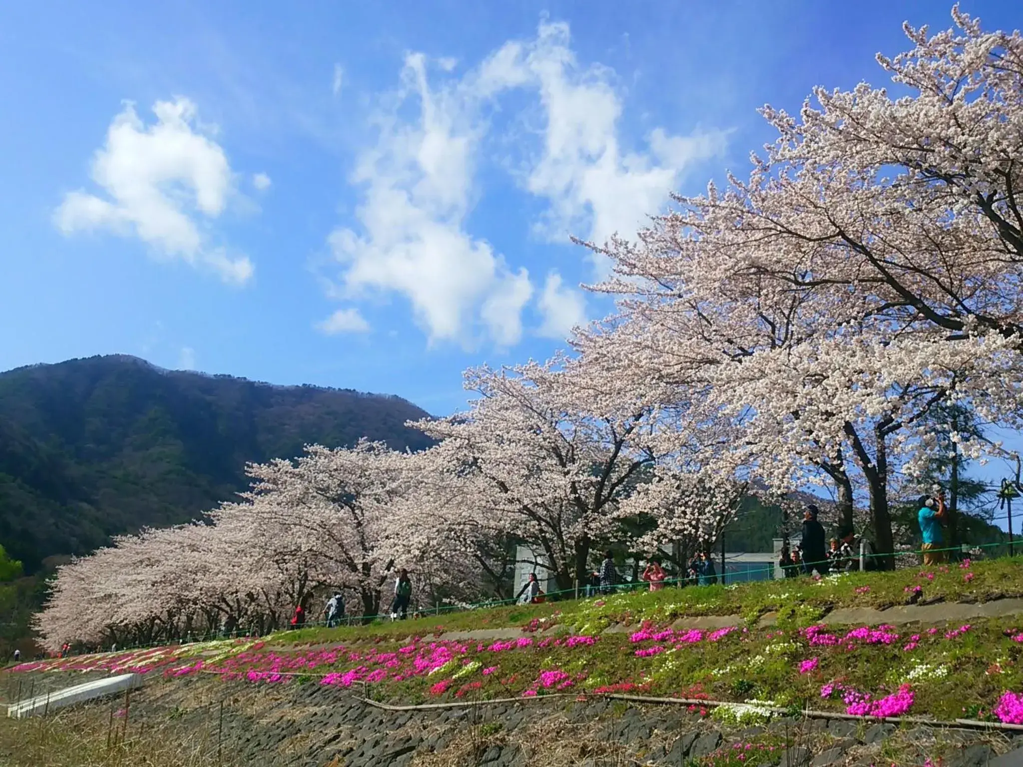 Day in Lakeland Hotel Mizunosato