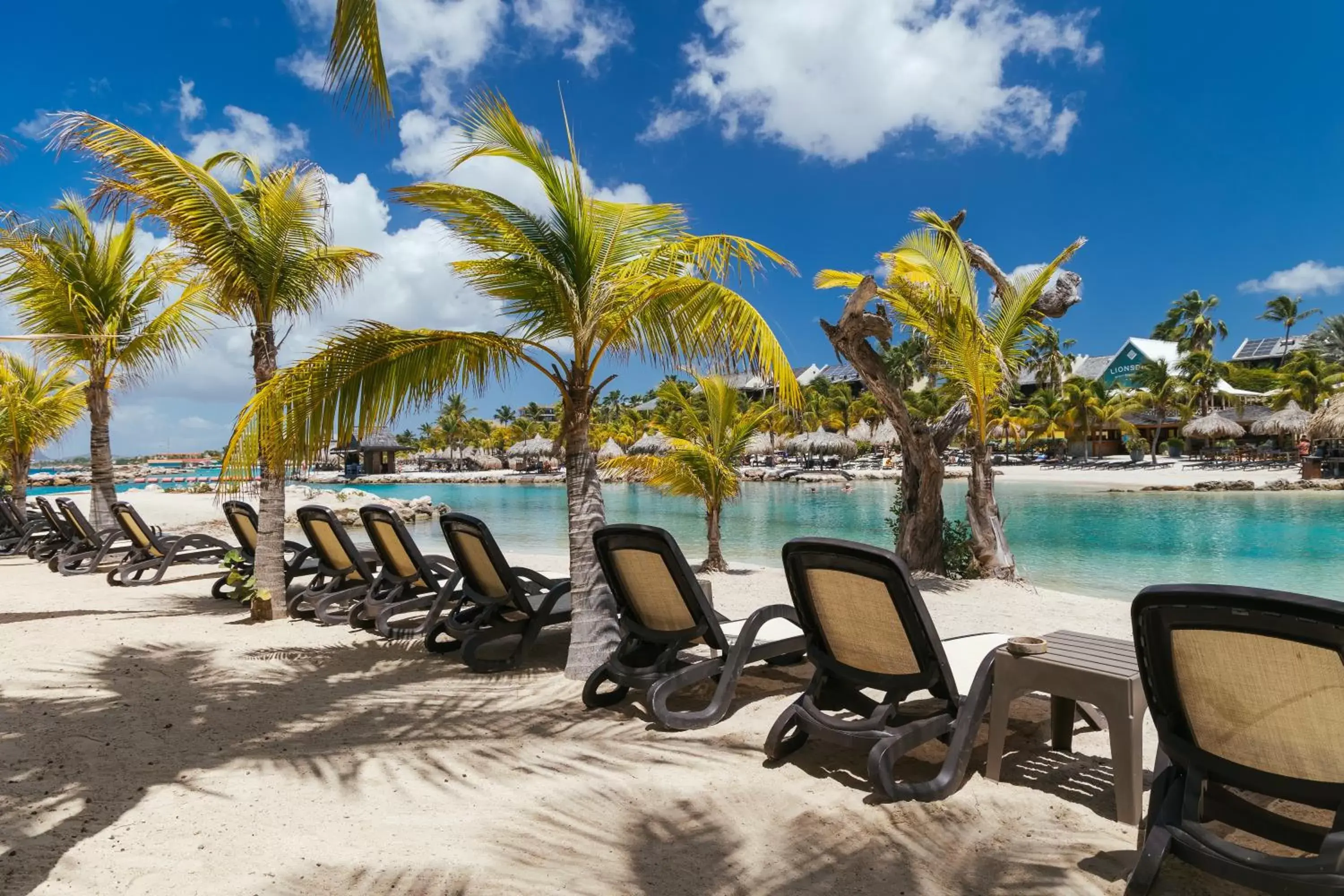 Beach, Swimming Pool in The Royal Sea Aquarium Resort