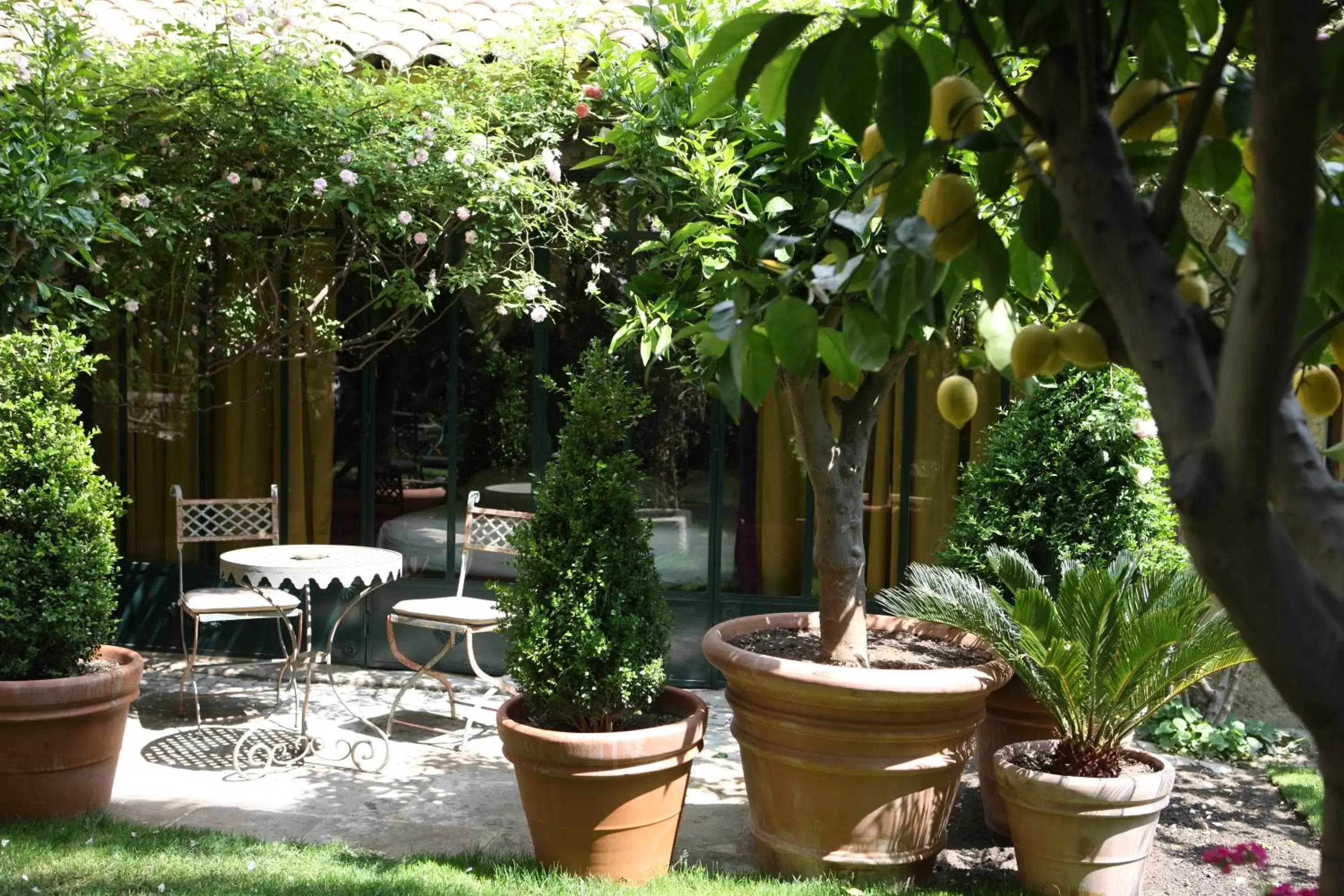 Garden in Jardins Secrets