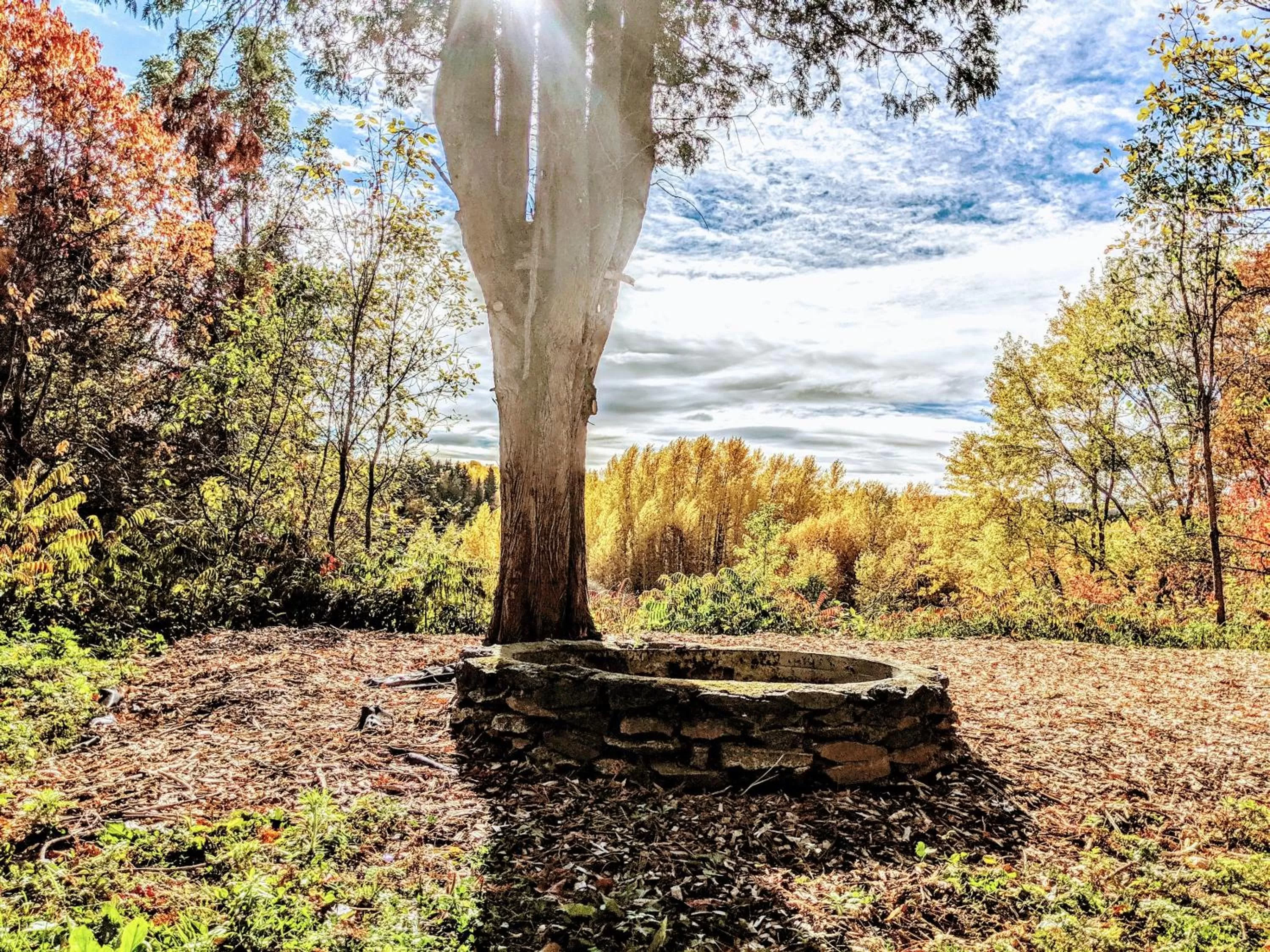 Garden in Maison Zacharie