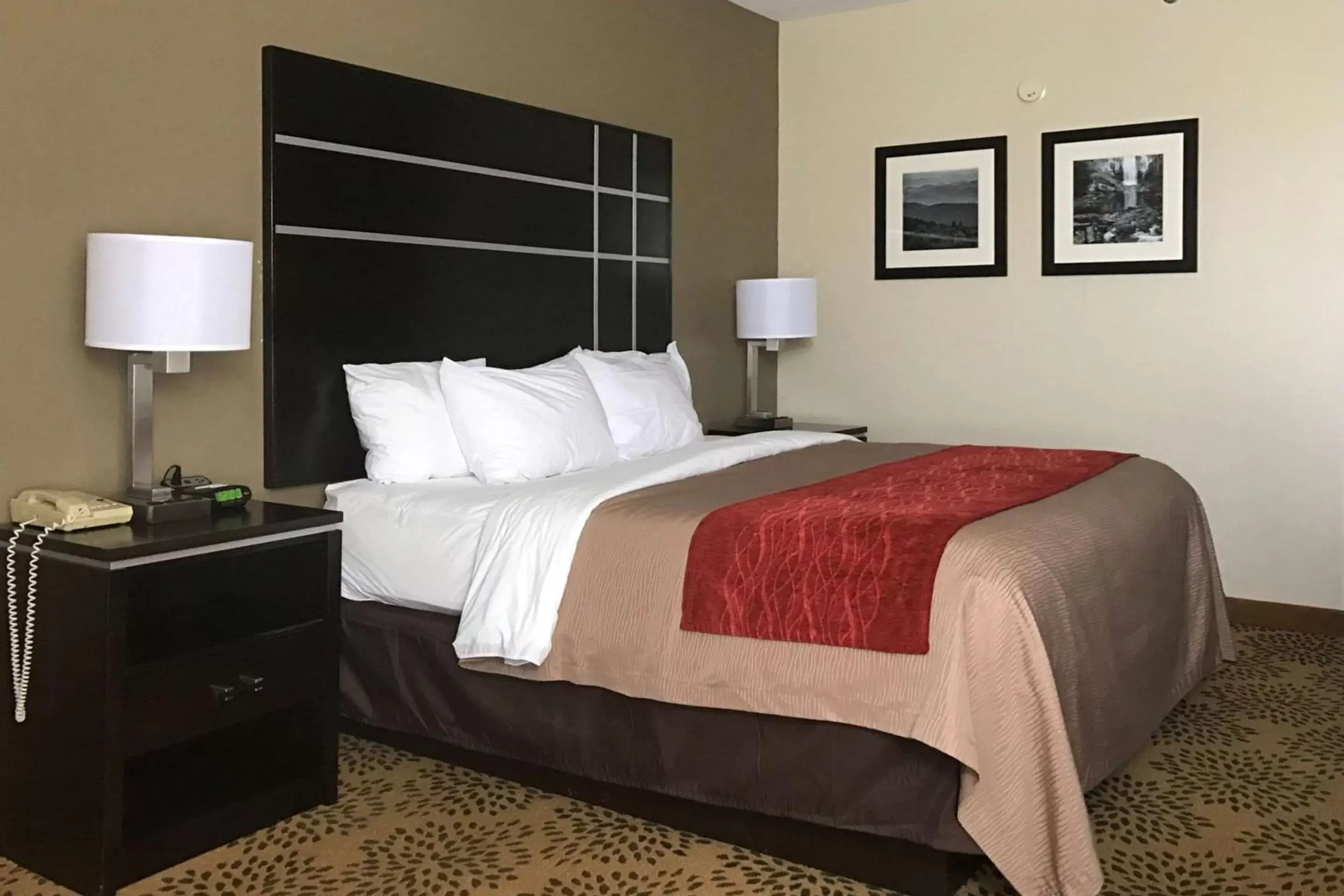 Photo of the whole room, Bed in Comfort Inn Mars Hill Photo of the whole room, Bed in Comfort Inn Mars Hill