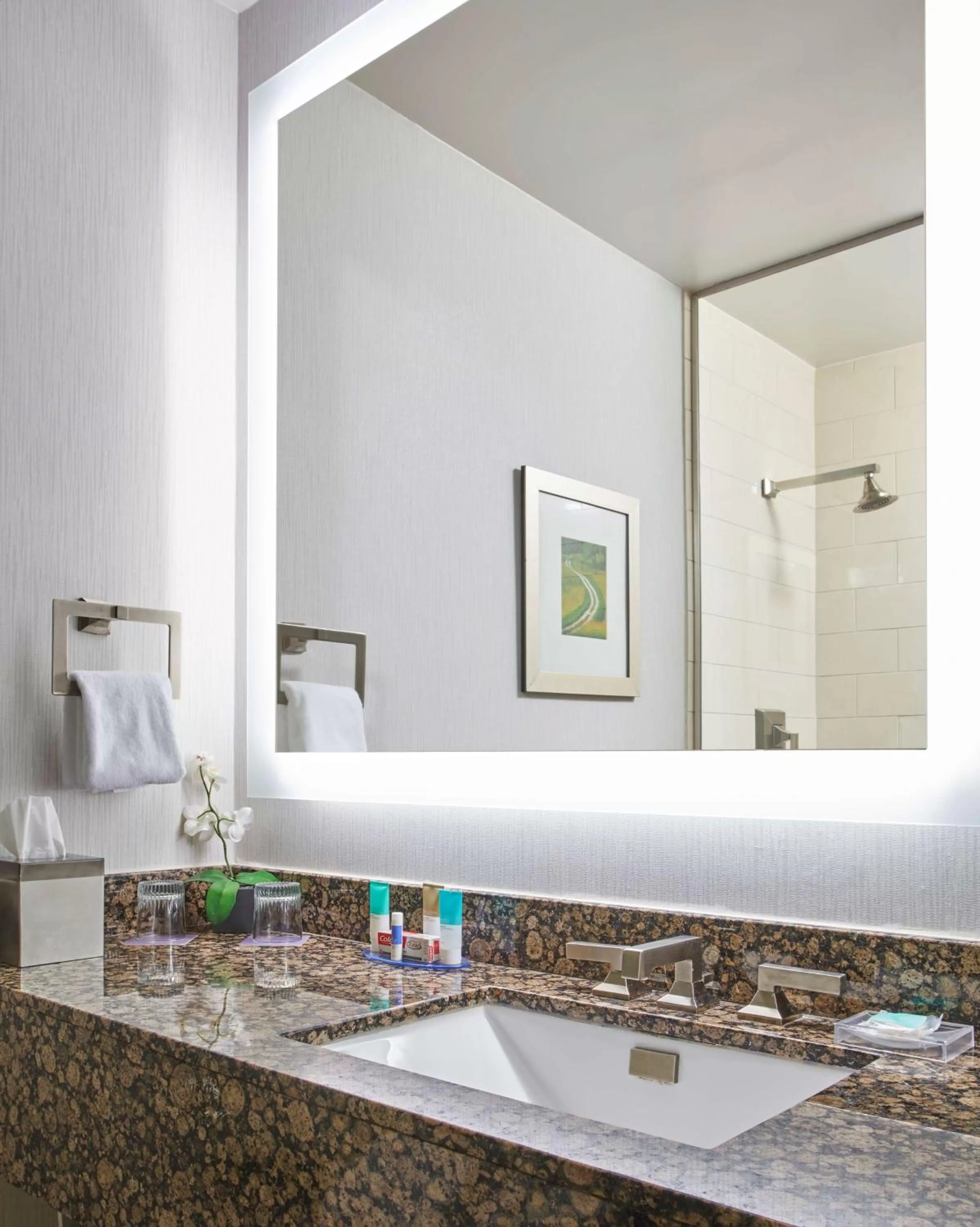 Photo of the whole room in Hyatt Regency Lexington