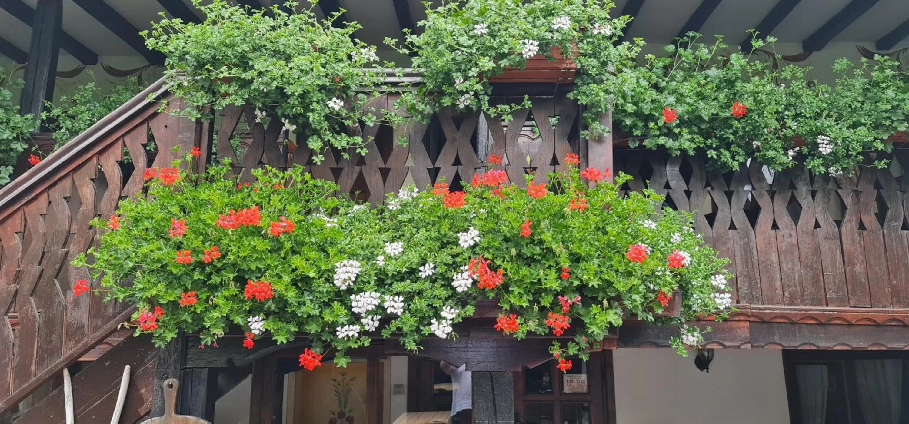 Garden view in Стаи за гости The Old House