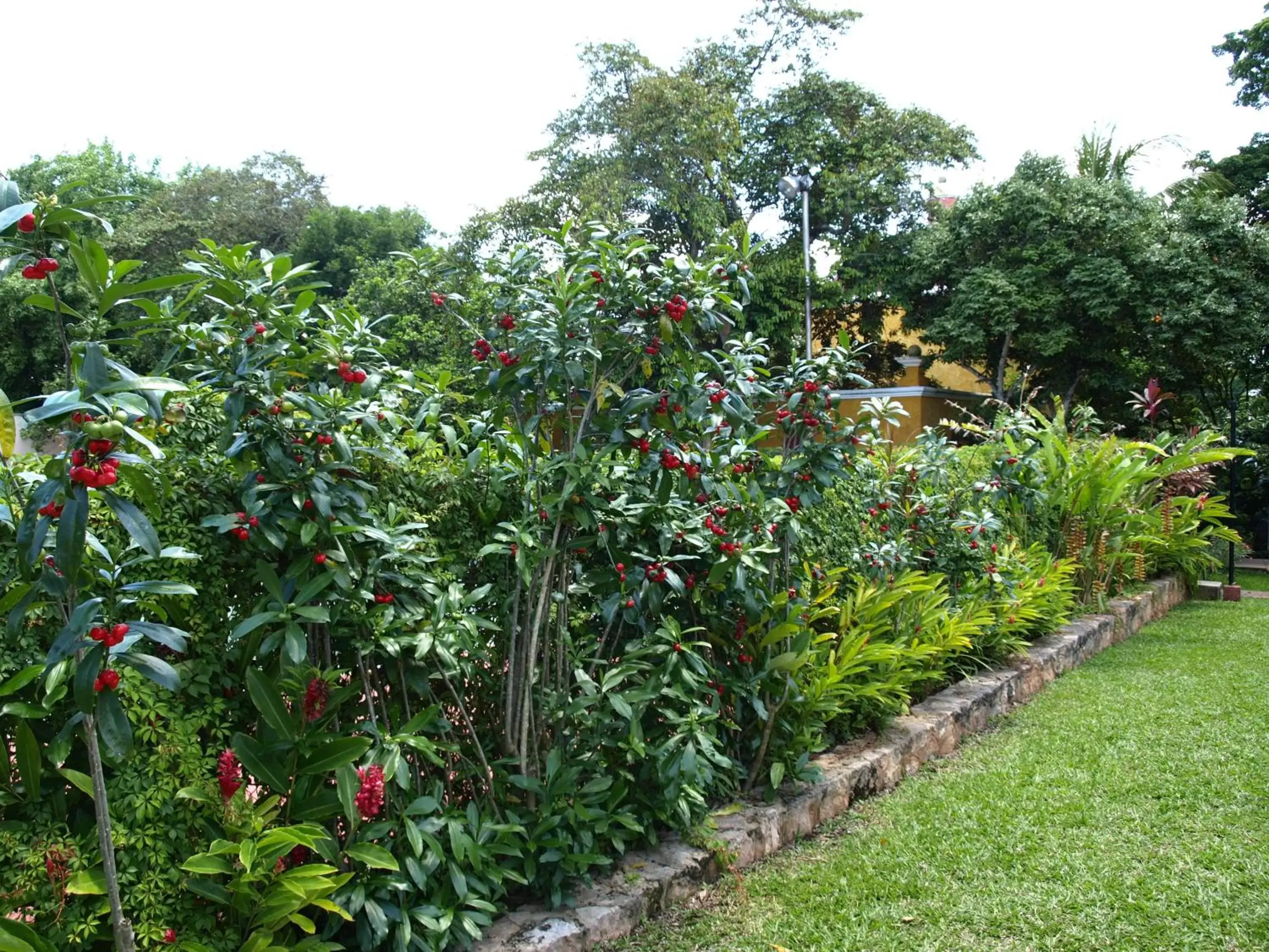 Garden in Ecotel Quinta Regia