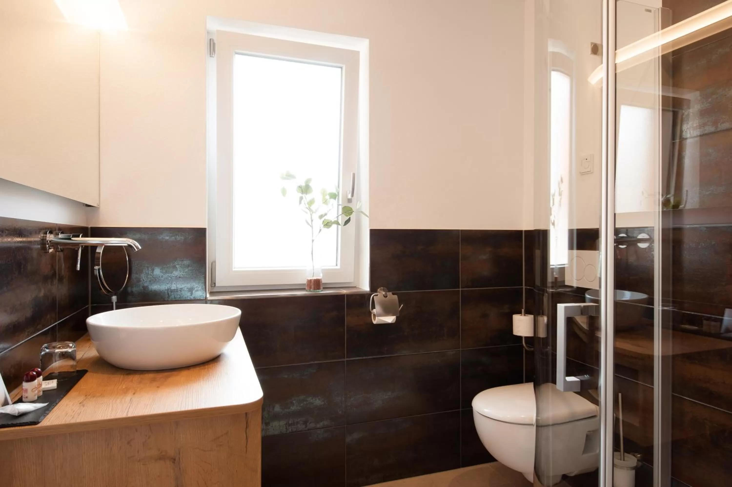 Shower in Hotel Schwaiger