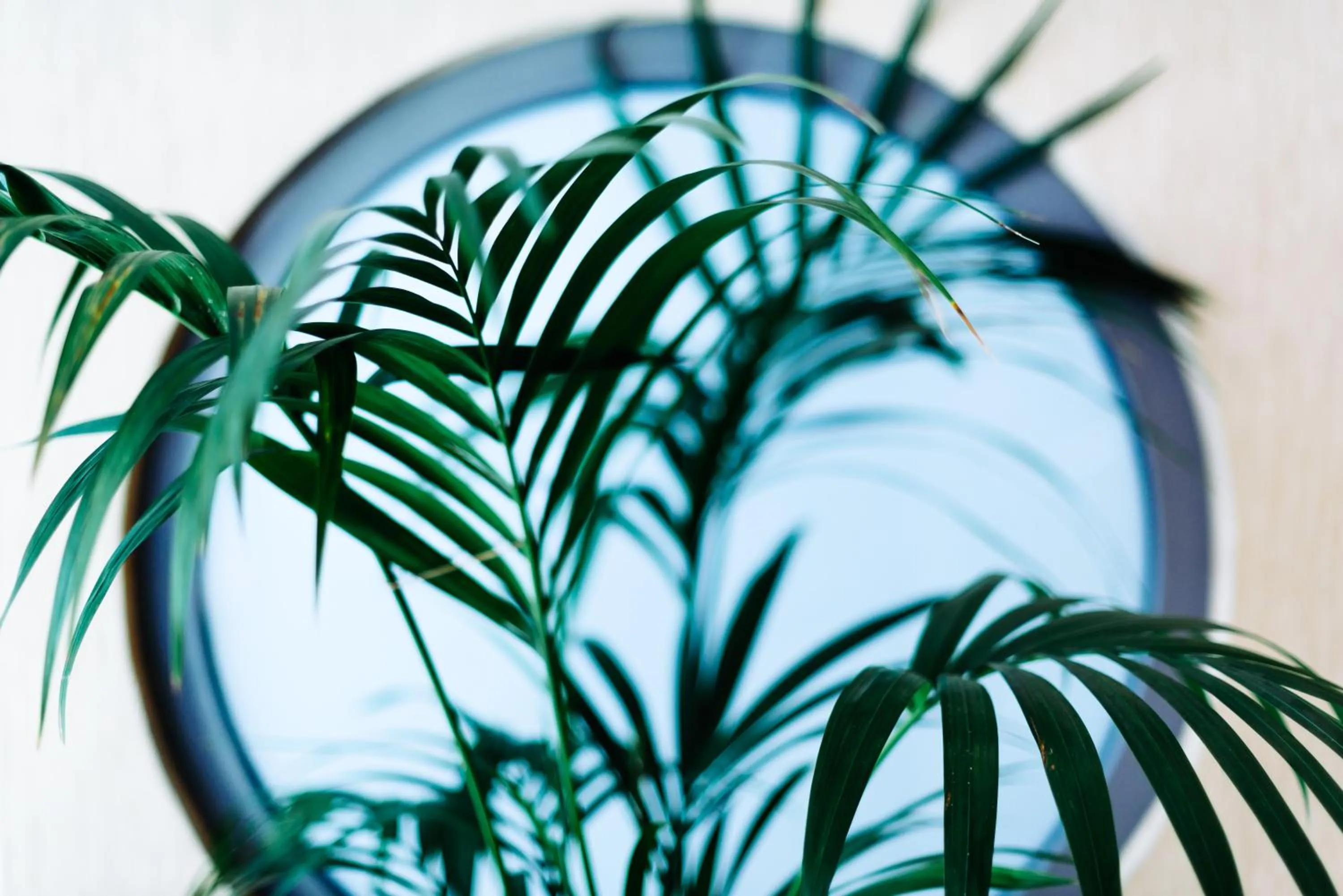 Other in Athens Mirabello