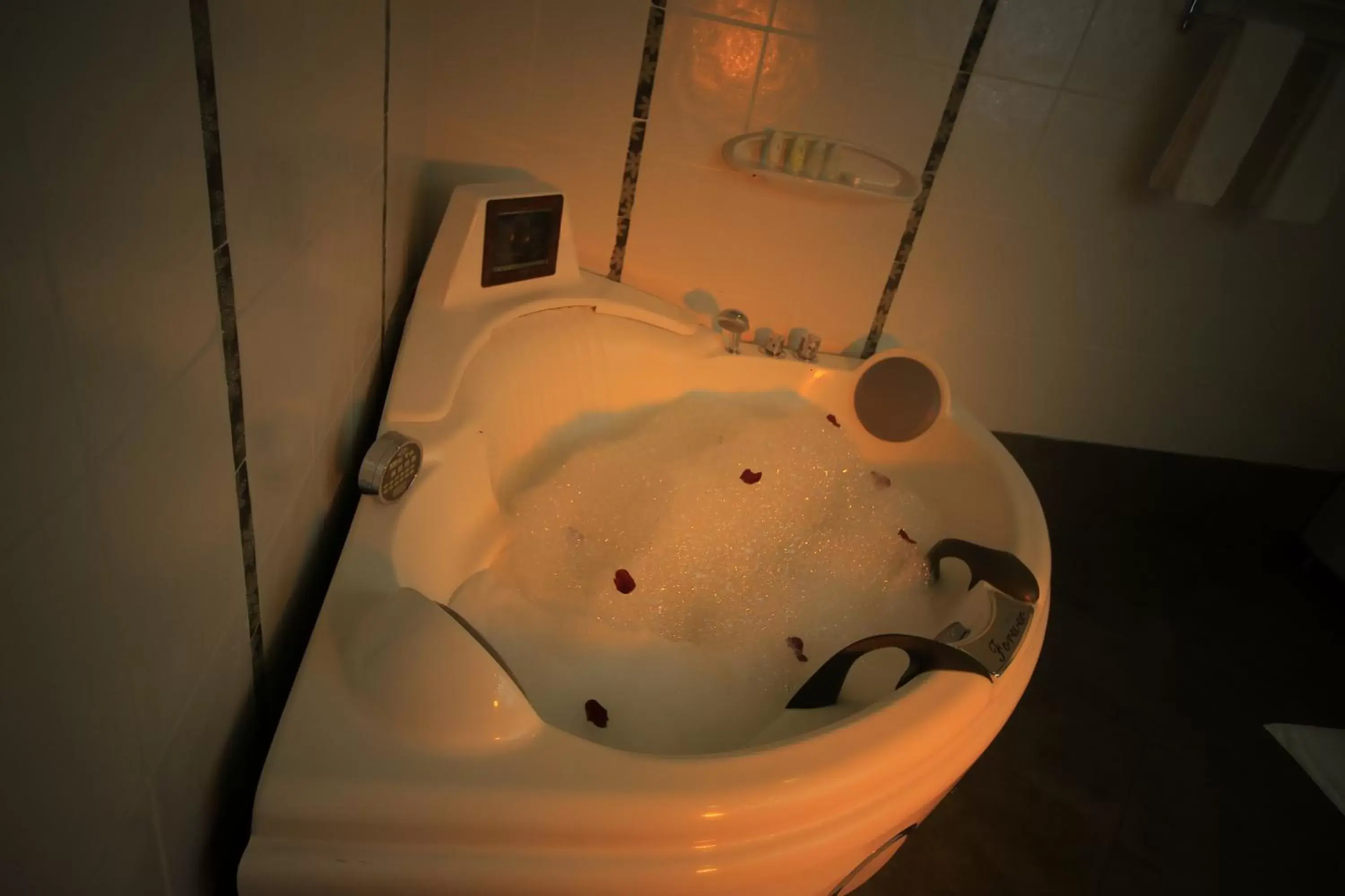 Bath, Bathroom in Inter Luxury Hotel