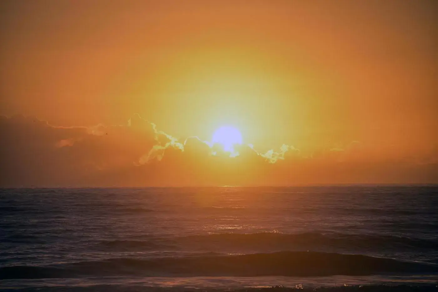 Decorative detail, Sunrise/Sunset in Surf Studio Beach Resort