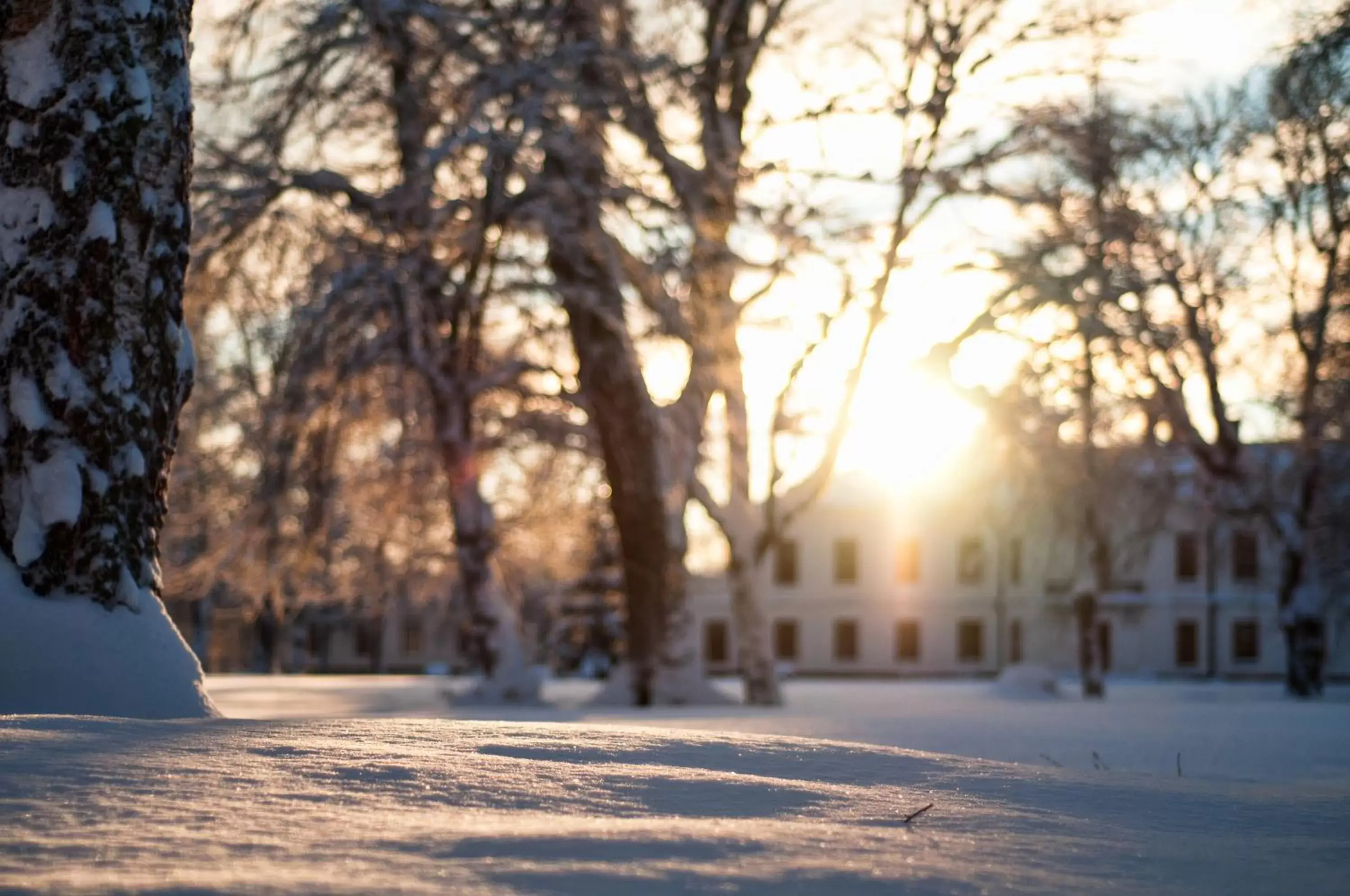 Facade/entrance, Winter in Gimo Herrgård