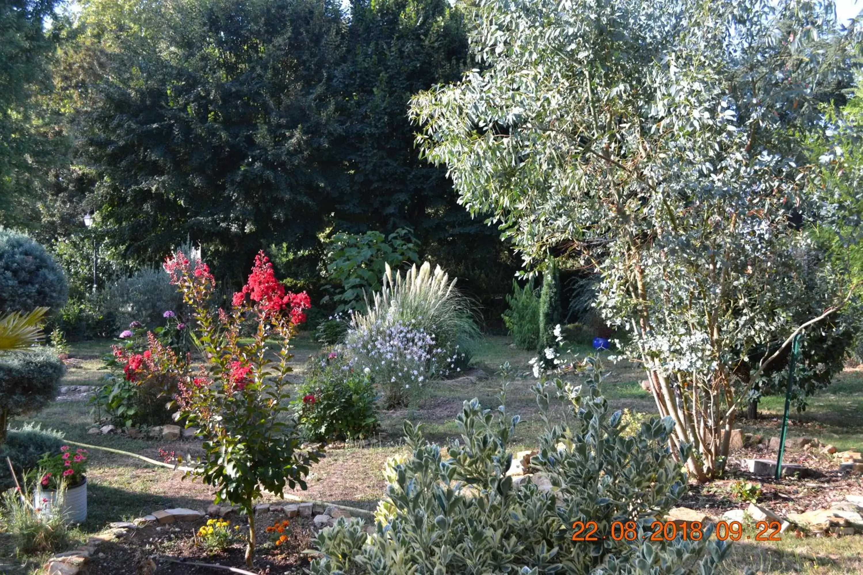 Garden in Hôtel Le Castel