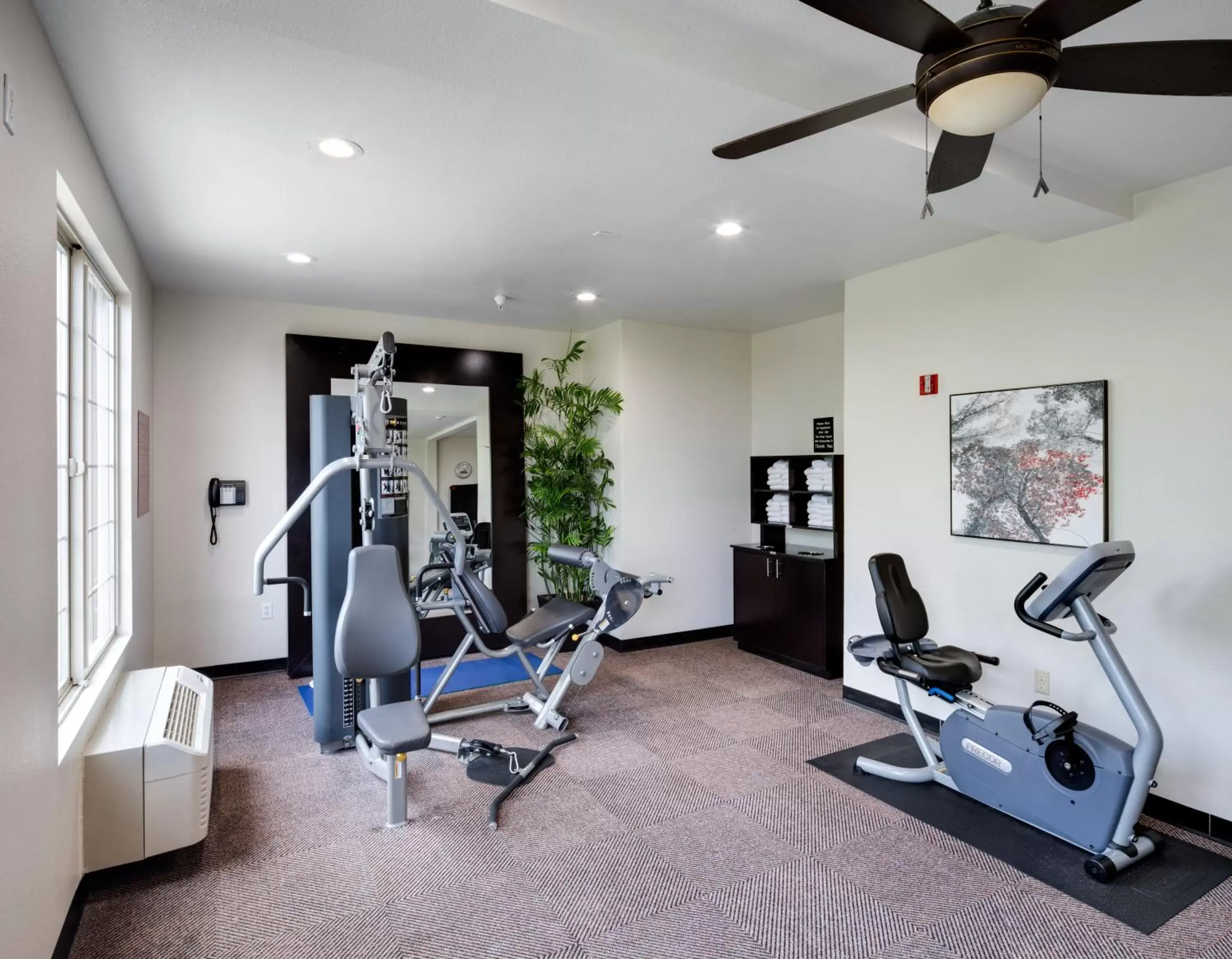 Fitness centre/facilities, Fitness Center/Facilities in Ayres Suites Mission Viejo