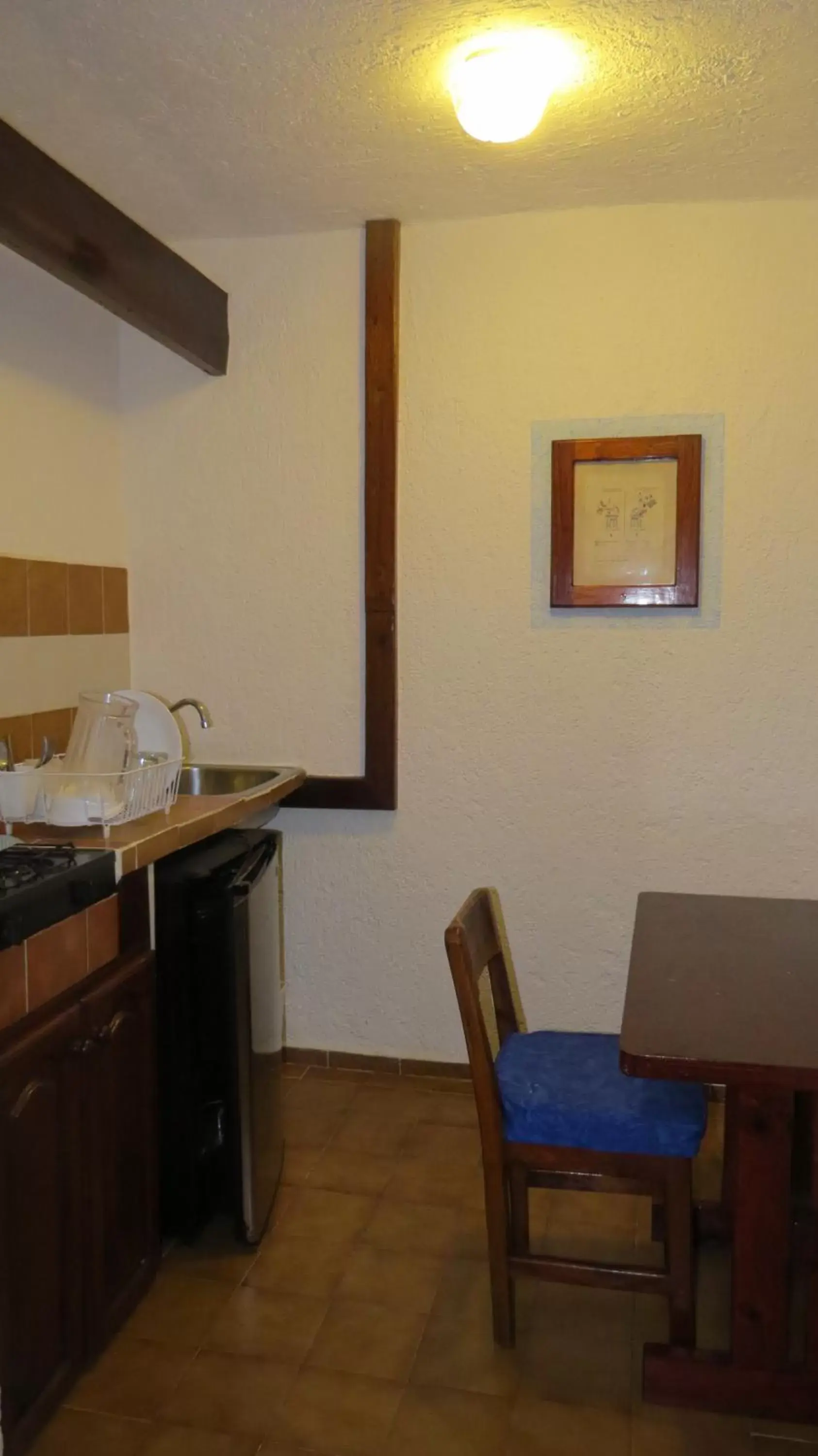 Dining area, Kitchen/Kitchenette in Eco-hotel El Rey del Caribe