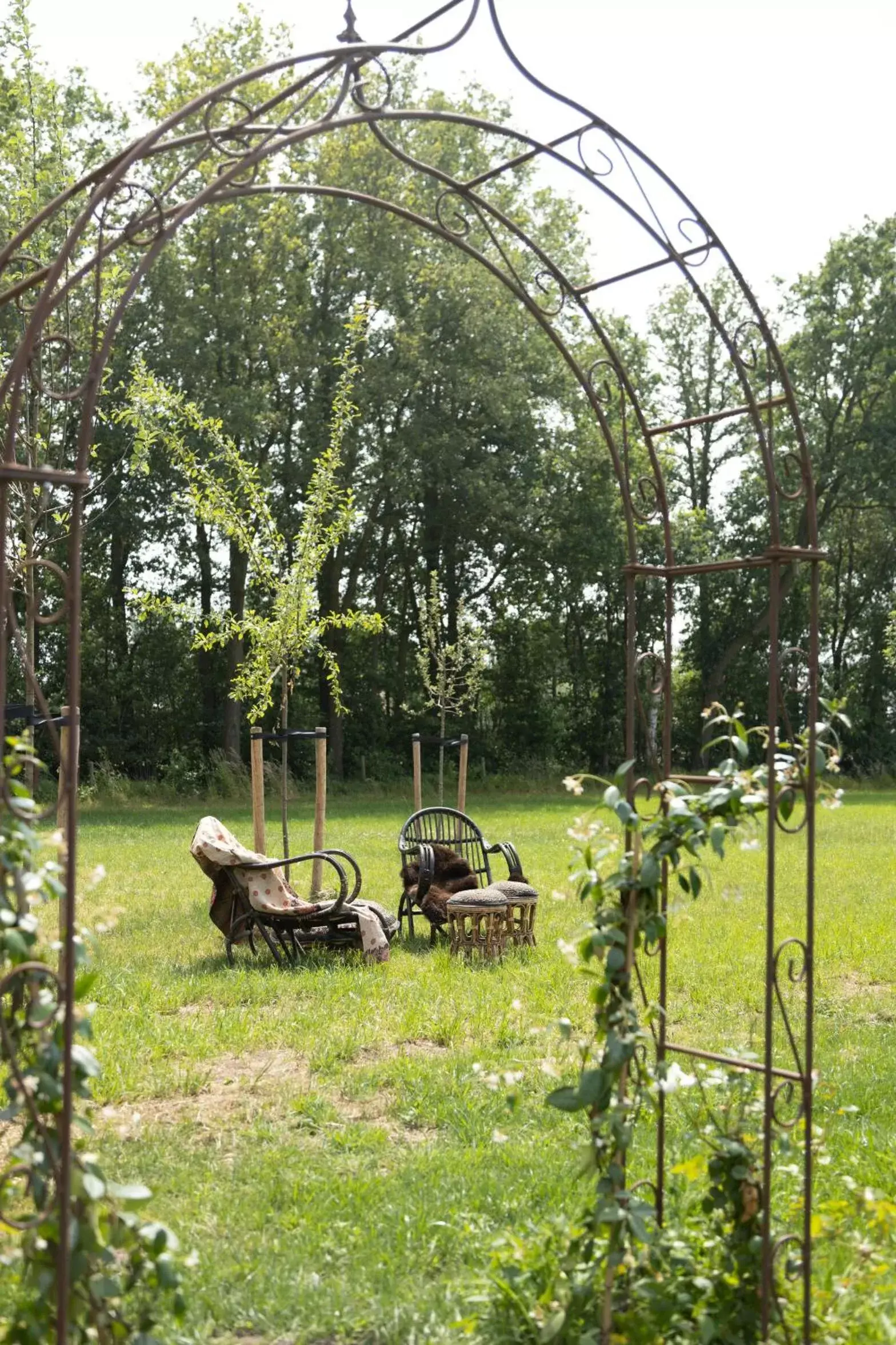 Natural landscape, Garden in Bed & Breakfast Hoeve Happiness