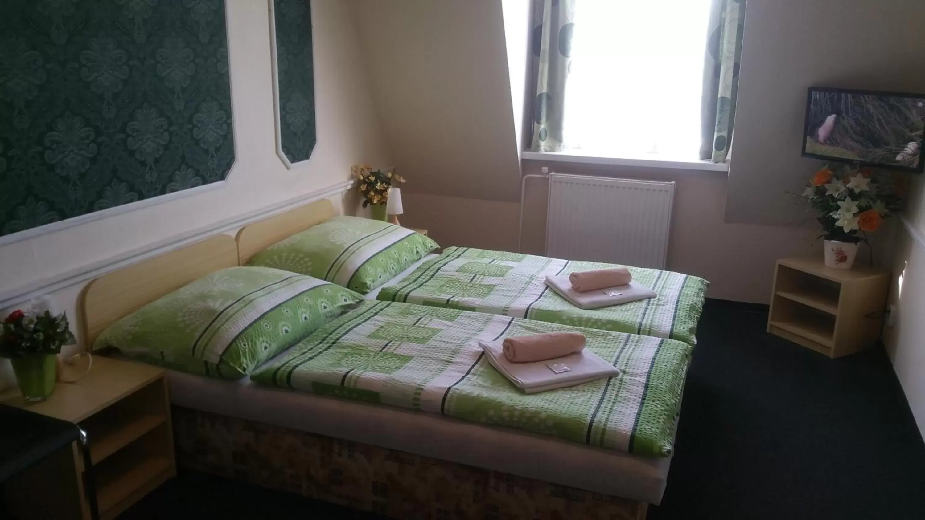 Double Room in Pension Velický Zámoček Double Room in Pension Velický Zámoček