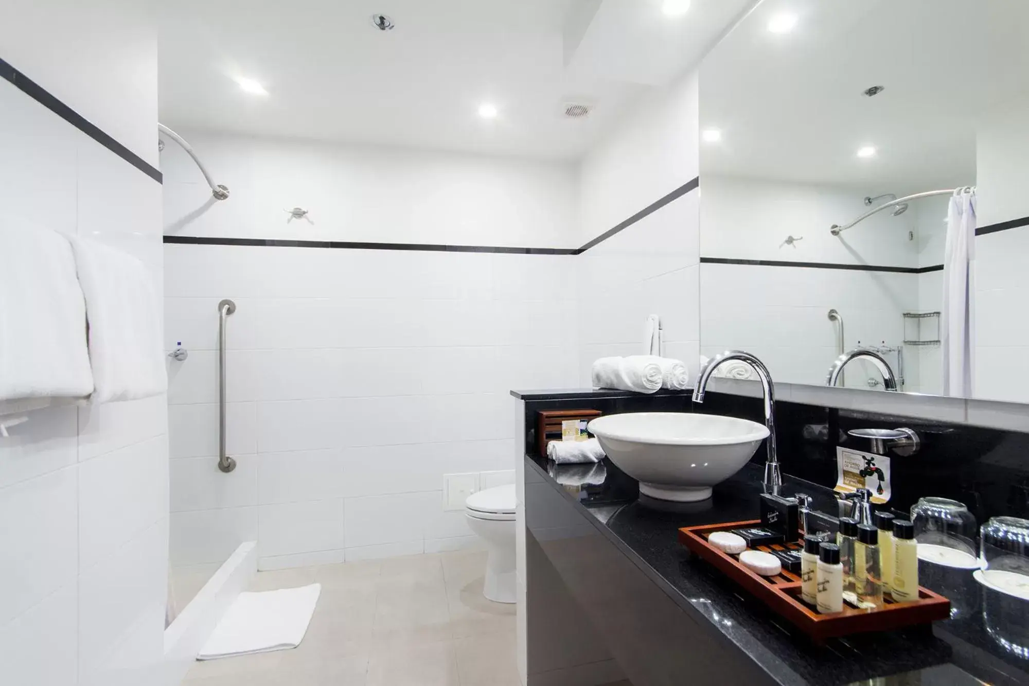 Bathroom in Tequendama Suites and Hotel