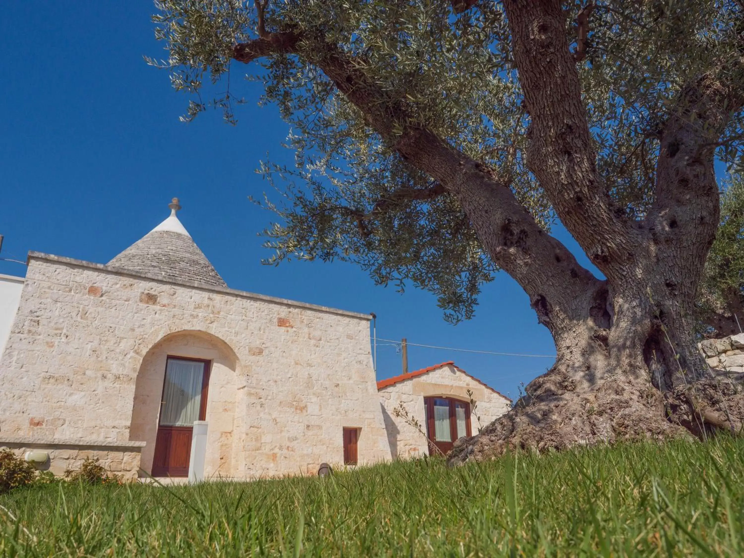 Property Building in Rifugio di Puglia - Trulli & Dimore