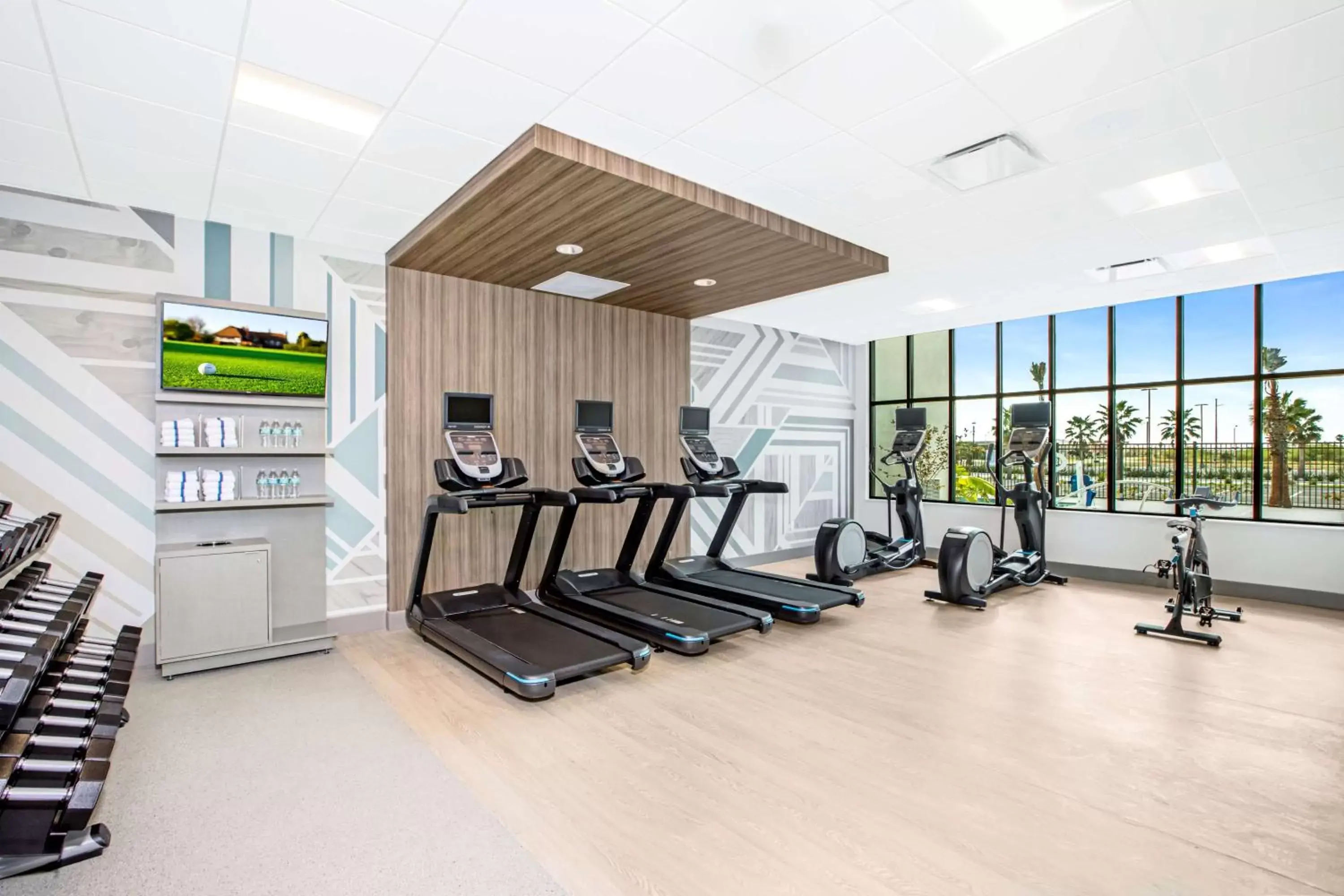 Fitness centre/facilities, Fitness Center/Facilities in Hilton Garden Inn Harlingen Convention Center, Tx