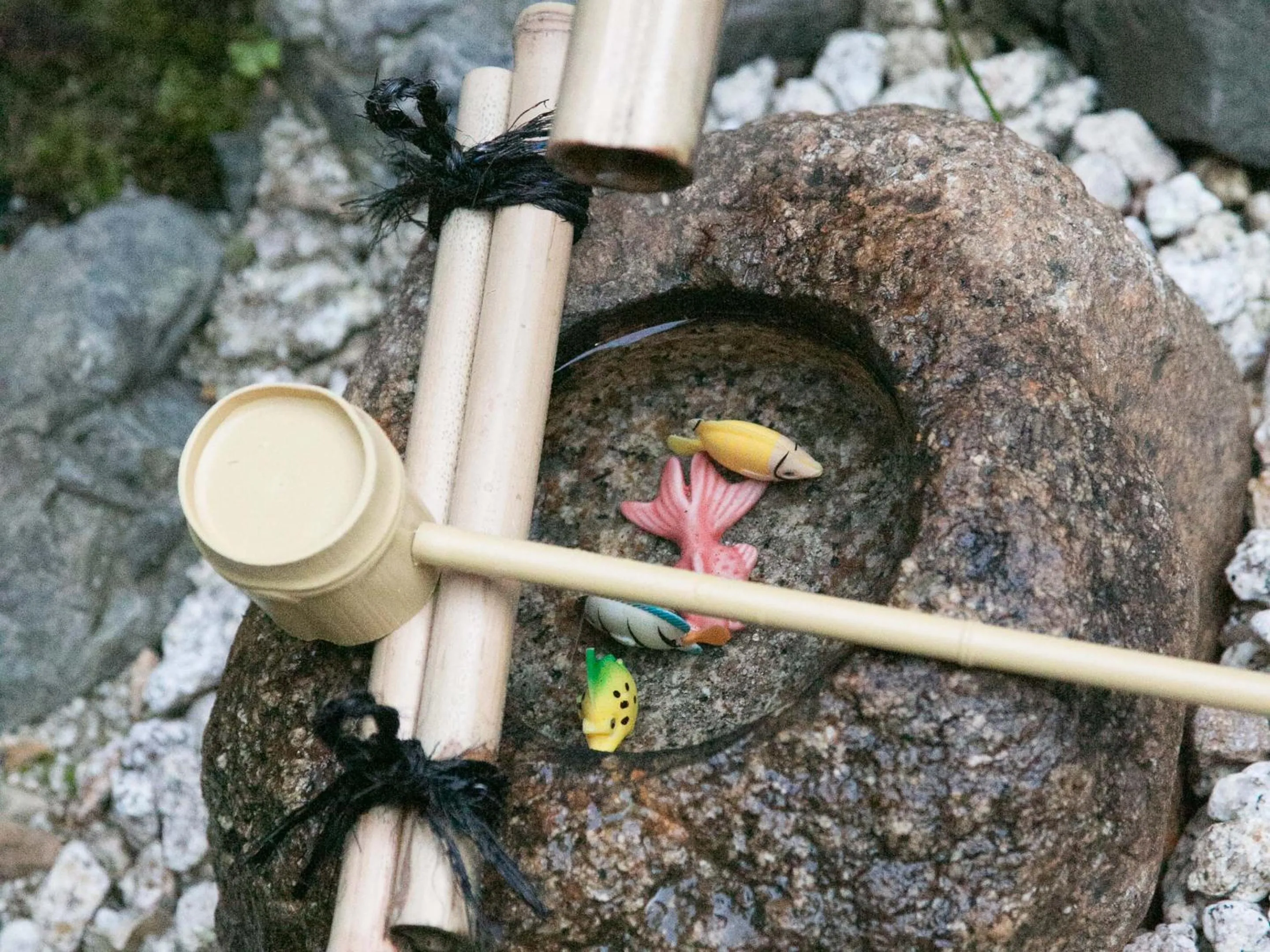 Area and facilities in Guesthouse HANA Nishijin