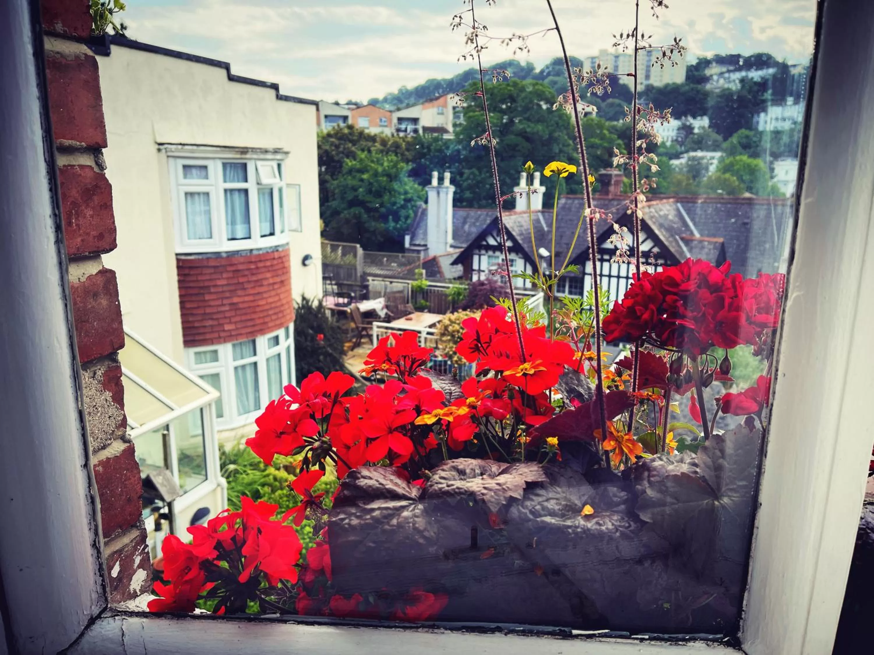 Garden view in The Robin Hill