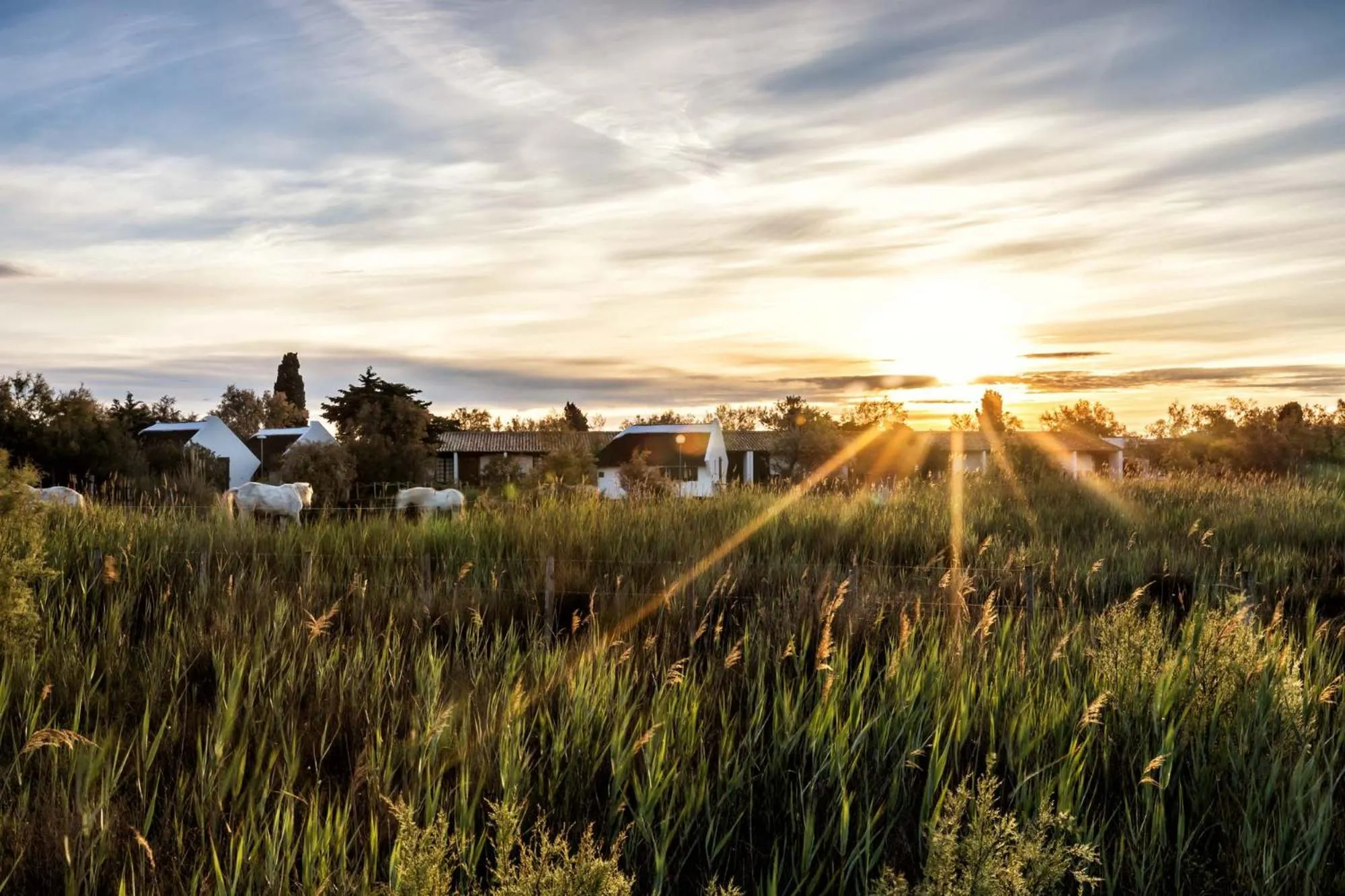 Property building in Auberge Cavaliere du Pont des Bannes