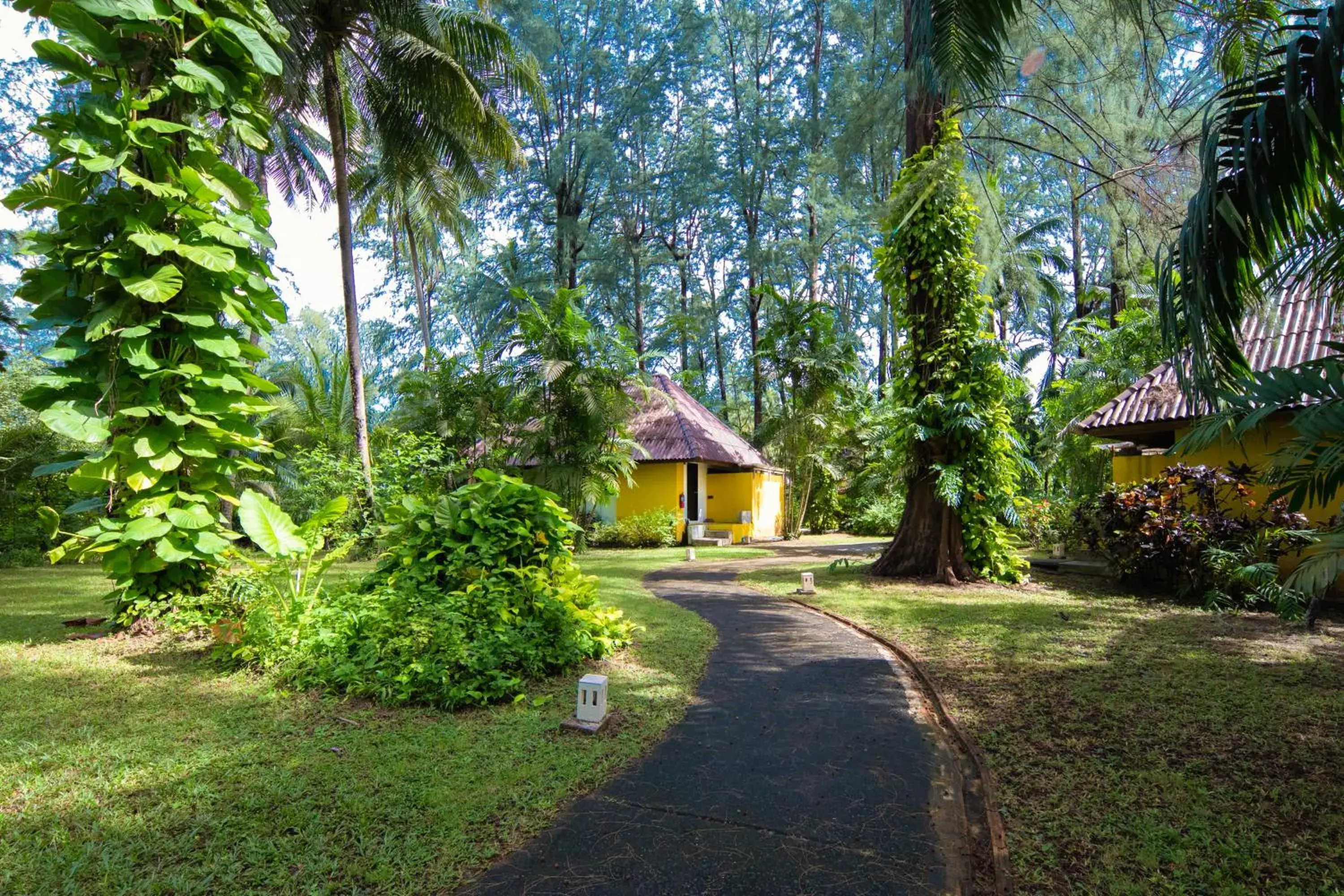 View (from property/room), Garden in Haadson Resort - Khaolak, Phangnga