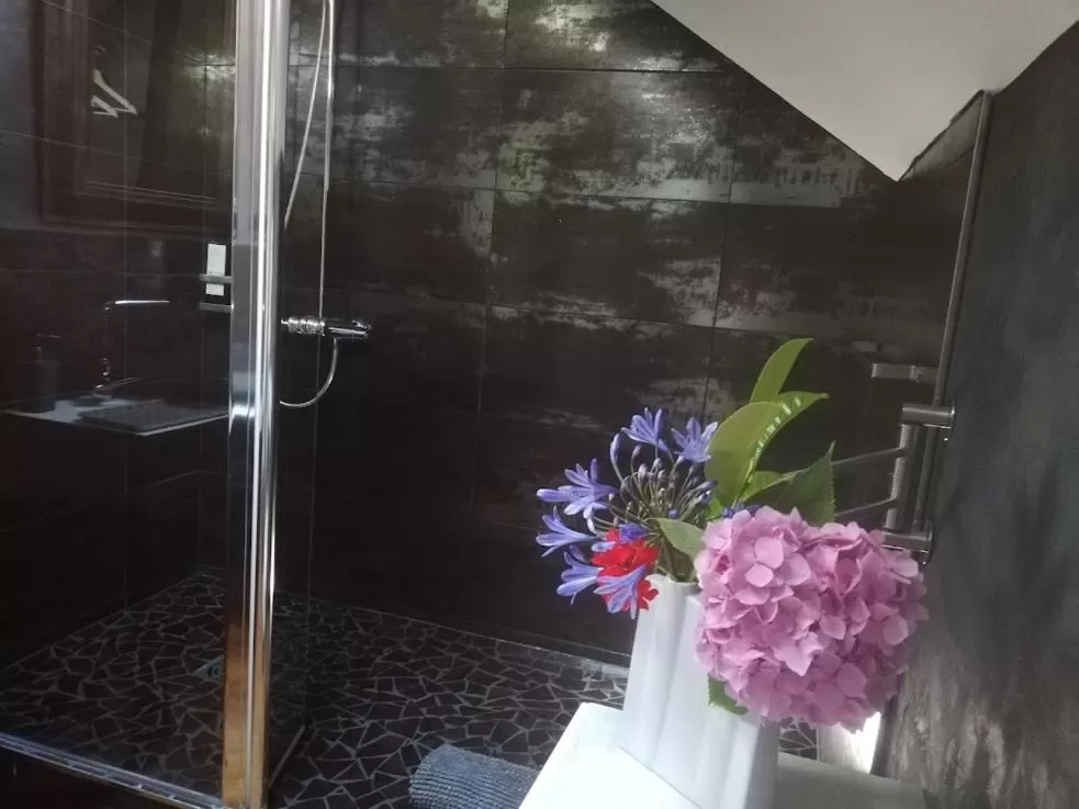 Shower in Villa Hortebise