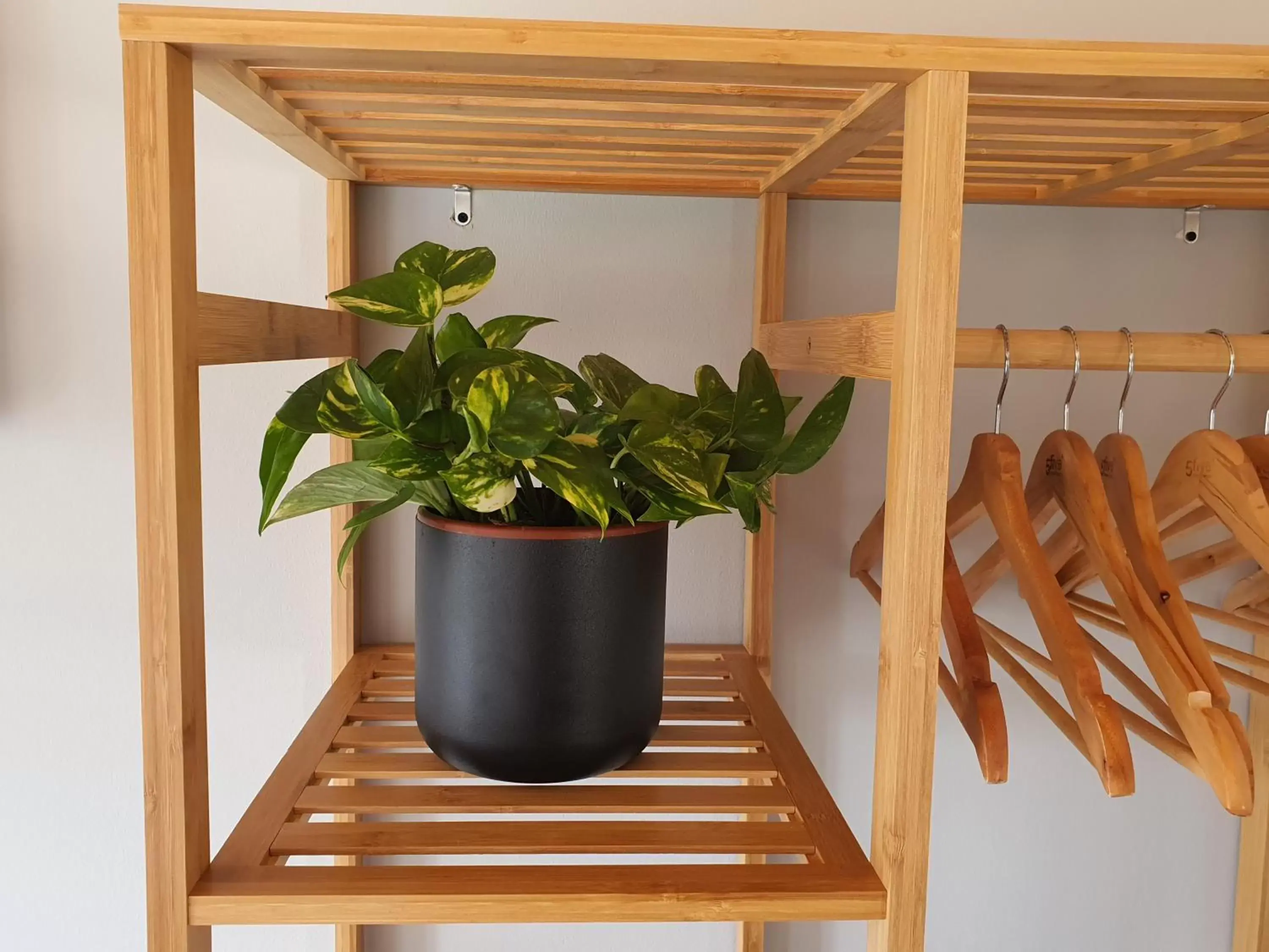 wardrobe in Quinta do Castanheiro