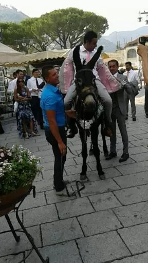 Horse-riding in B&B Oliva