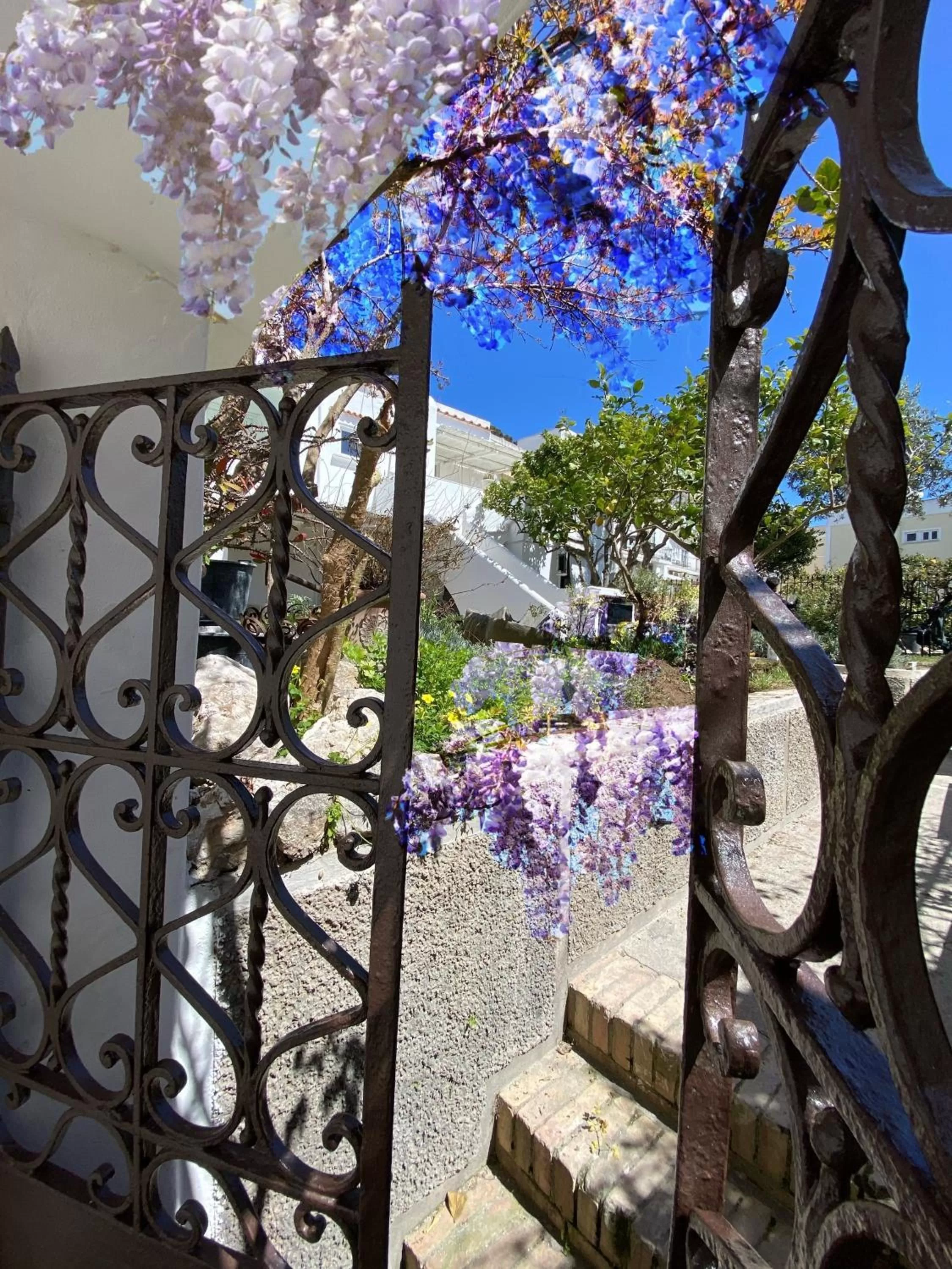 Suites Edivino Design Capri