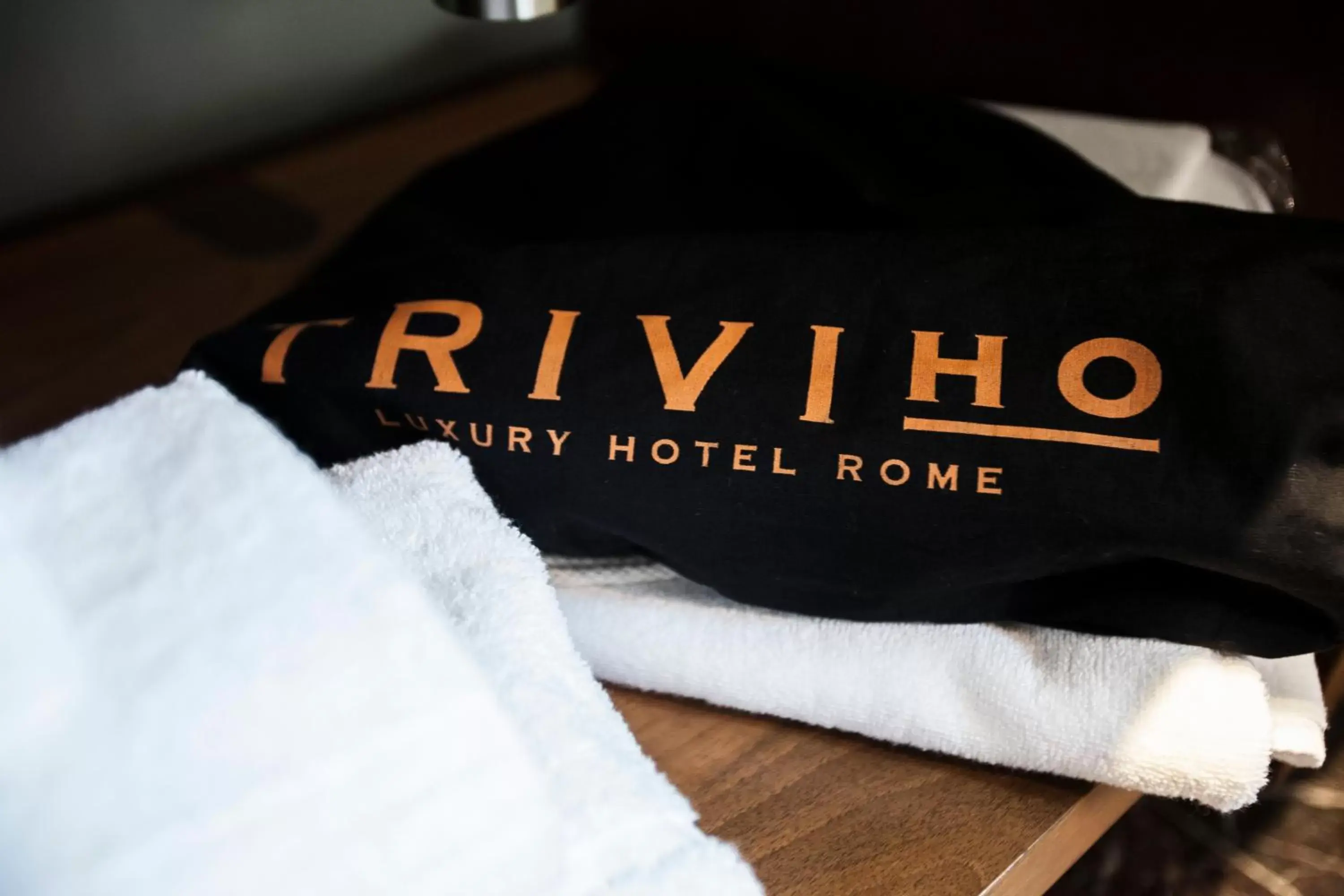 Decorative detail, Property Logo/Sign in Triviho Hotel