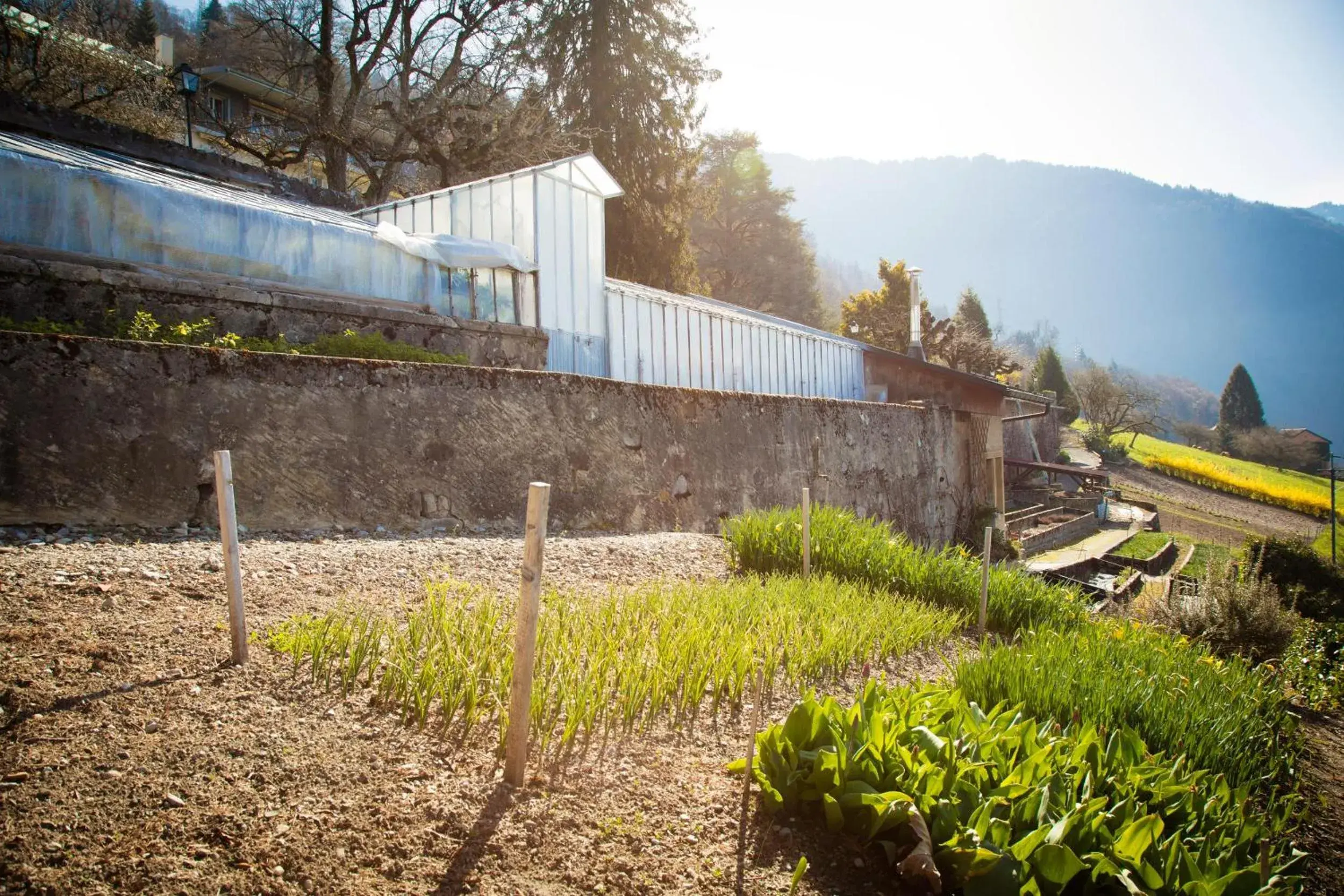 Garden, Property Building in Hotel Victoria Glion