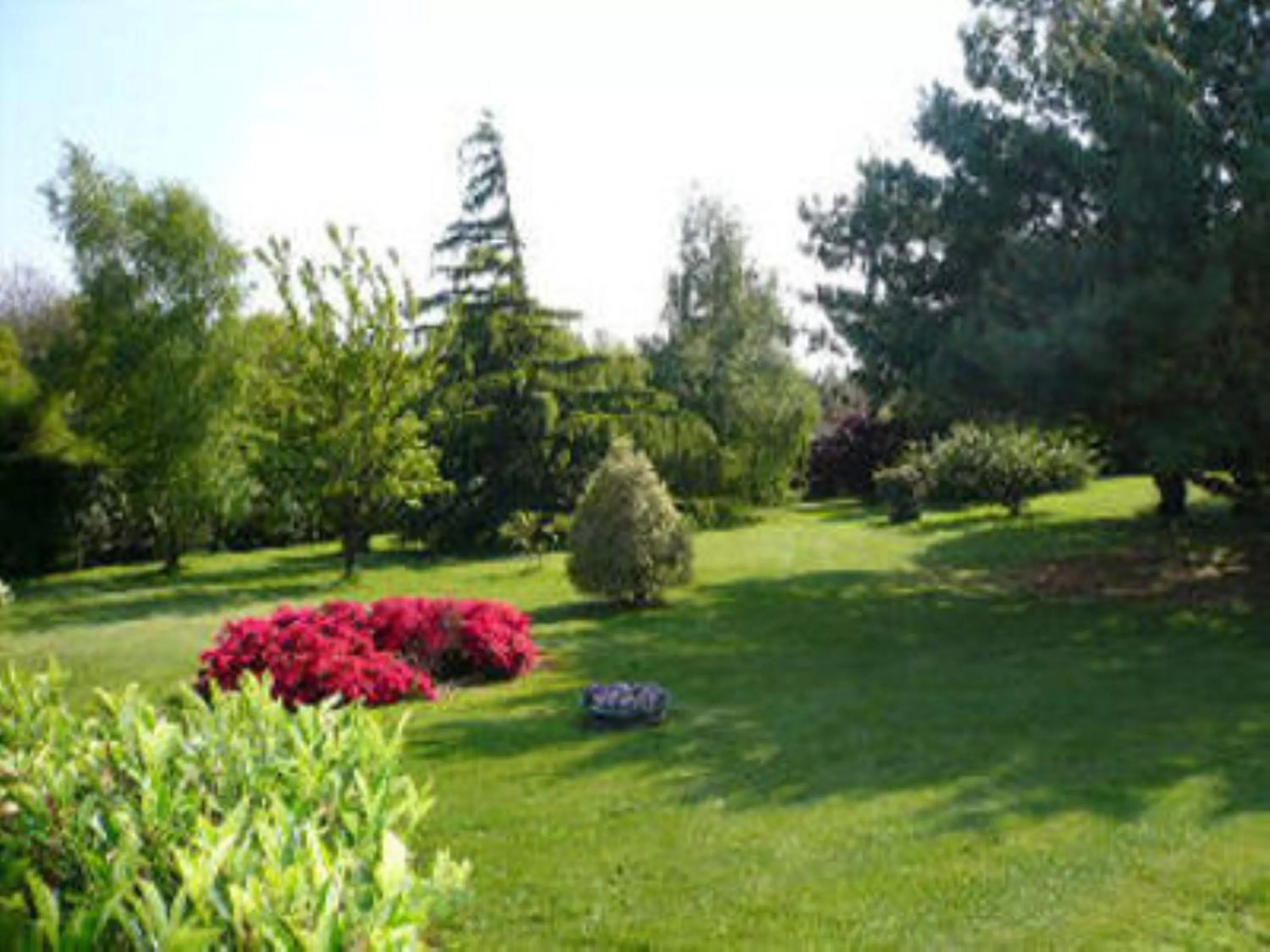 Garden in Le Clos du Pont Martin