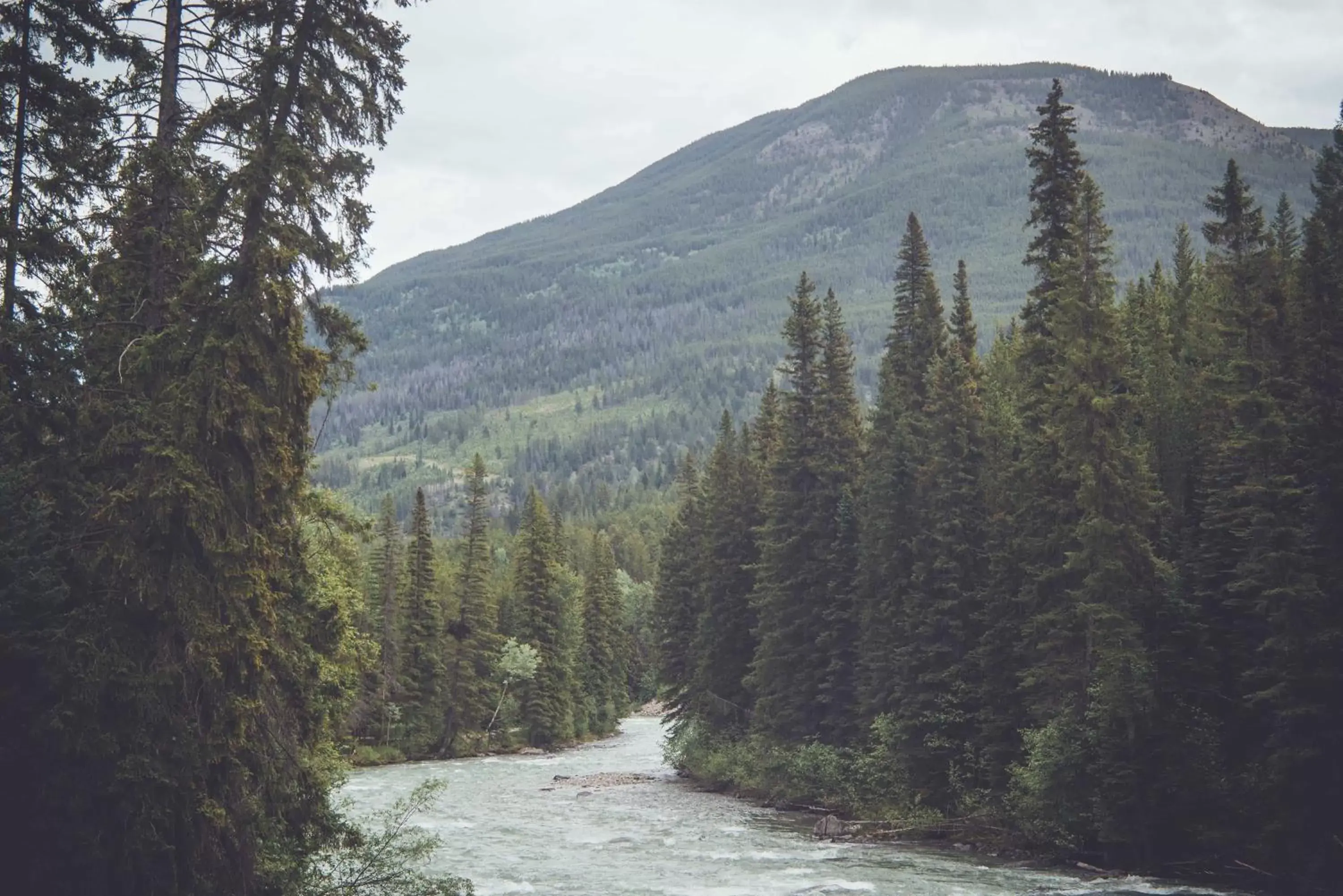 Natural landscape, Winter in Panorama Vacation Retreat at Horsethief Lodge