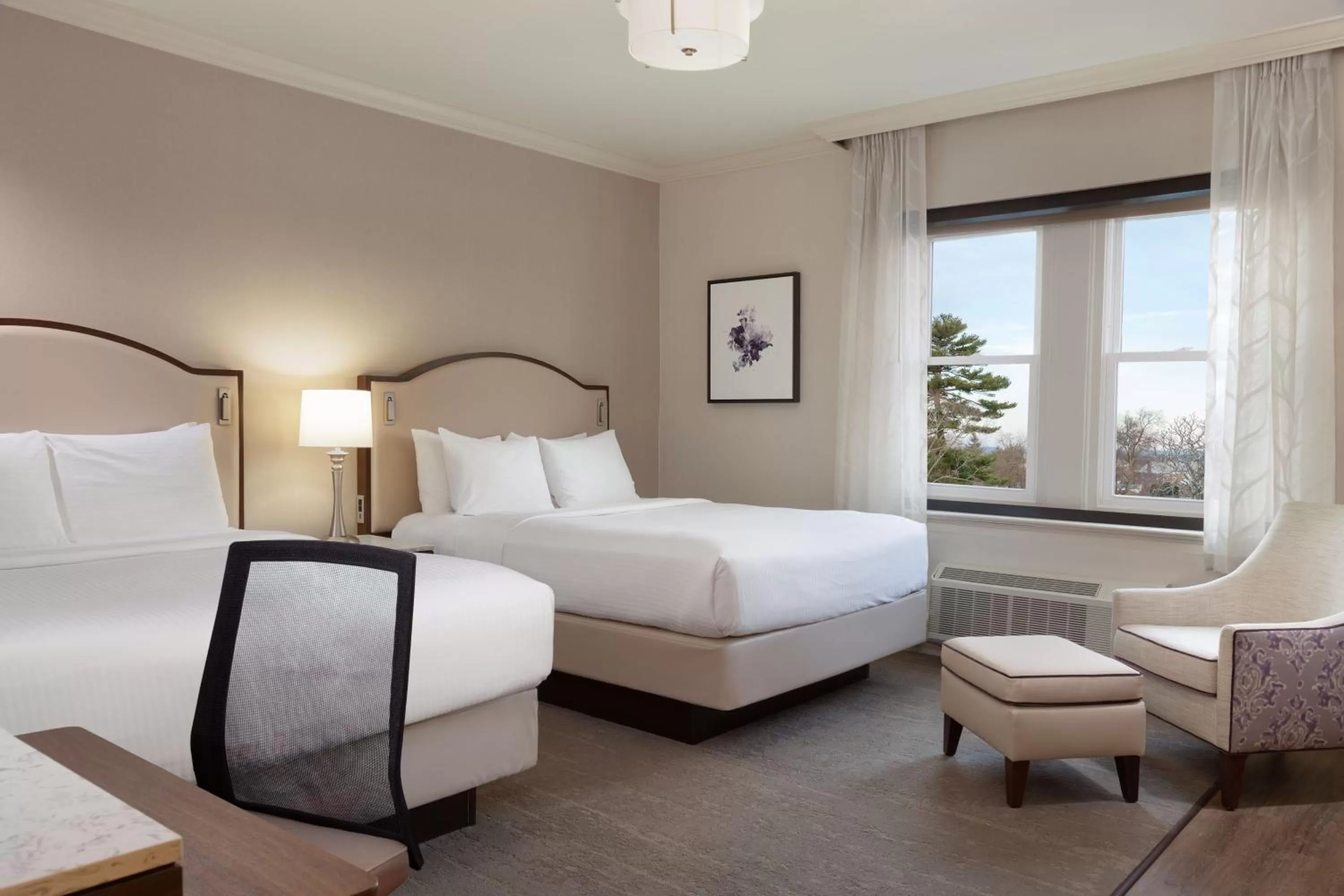 Photo of the whole room, Bed in The Albion Summit