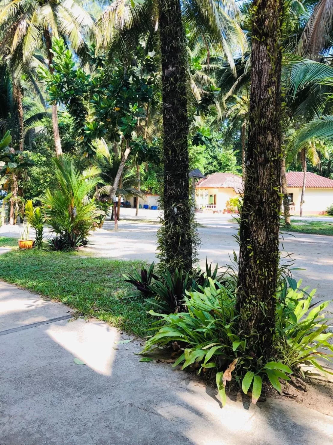 Ao Thong beach Resort