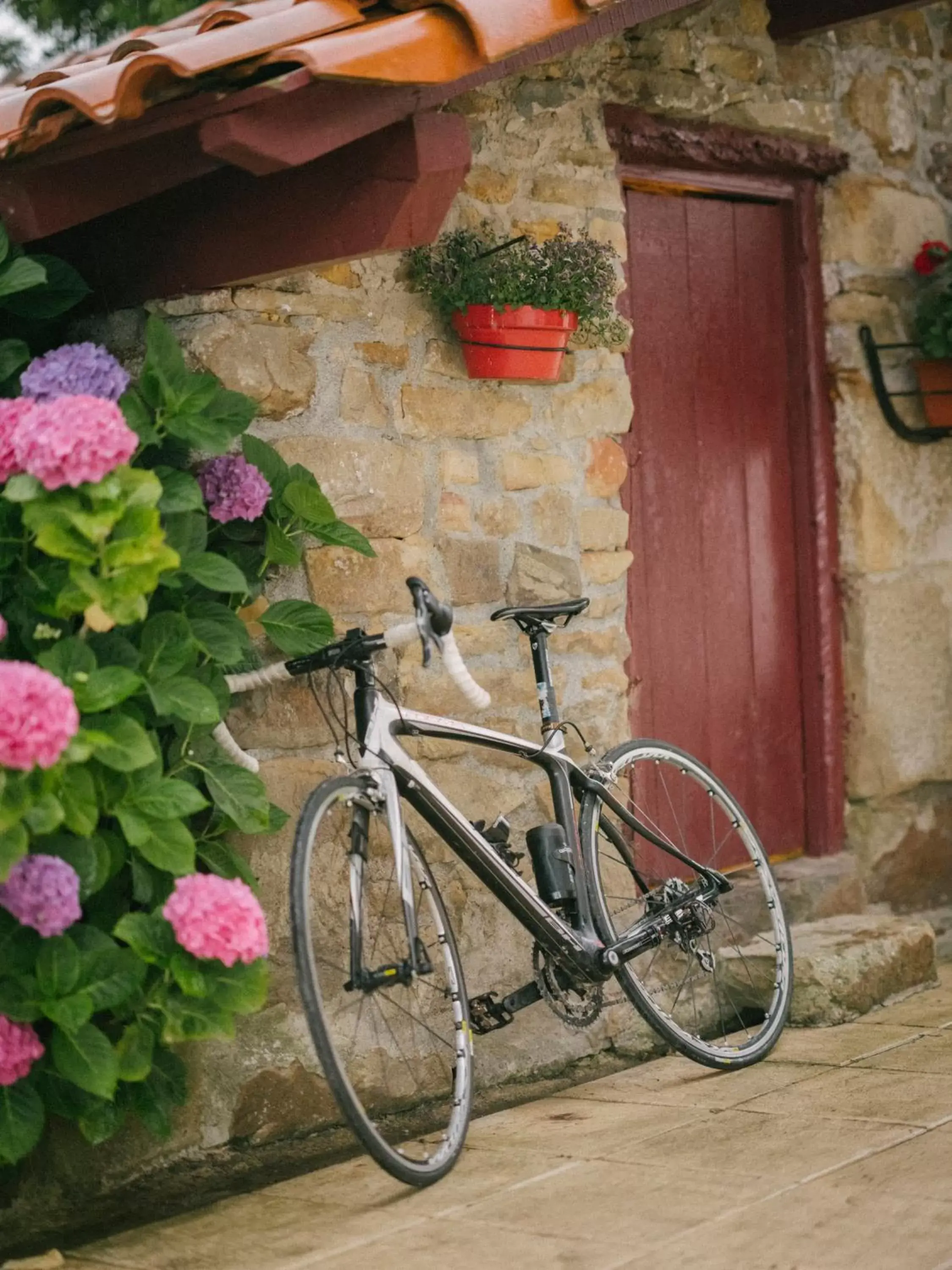 Cycling in Hotel Nafarrola