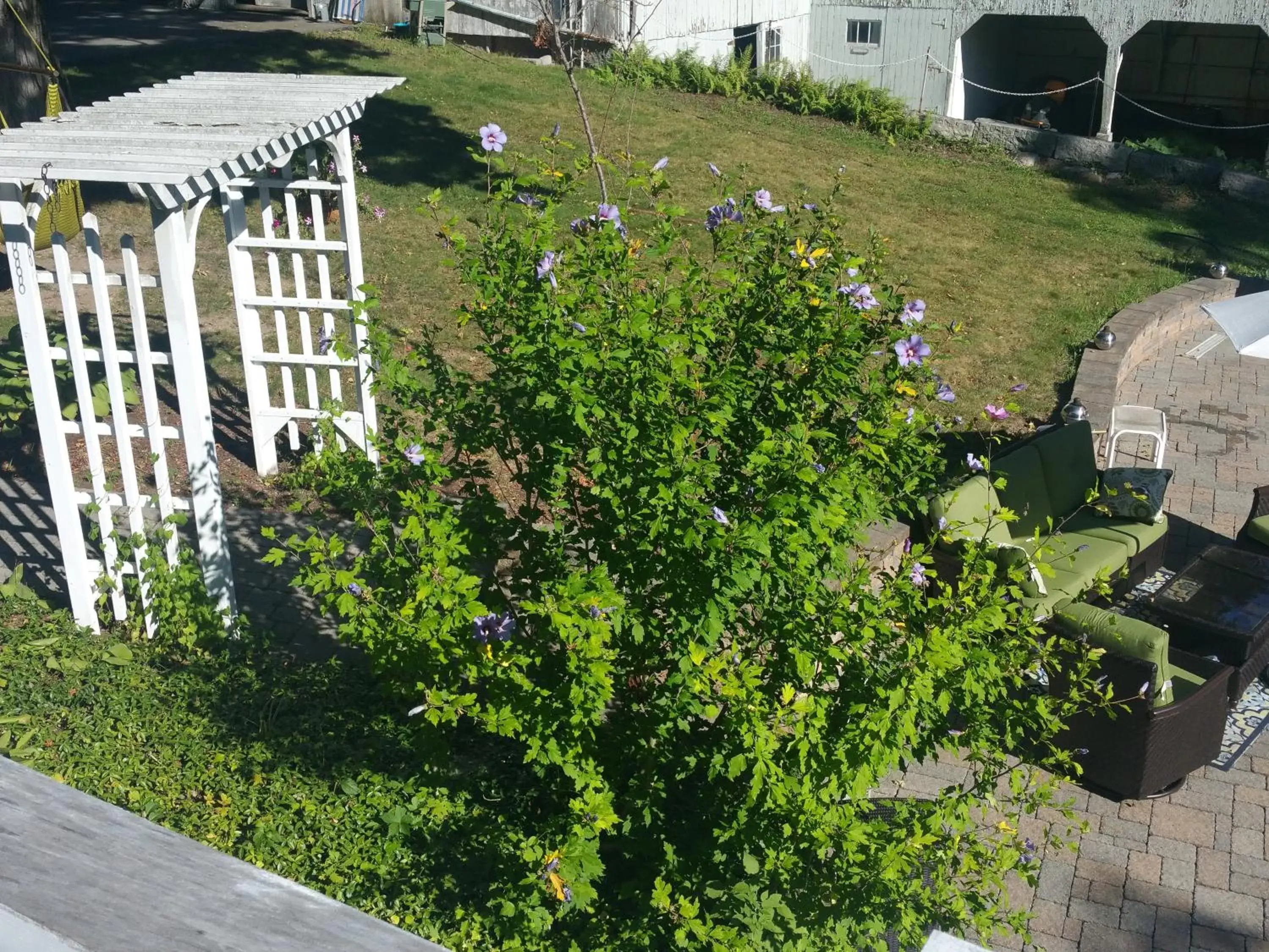 Garden in The Bevin House B&B