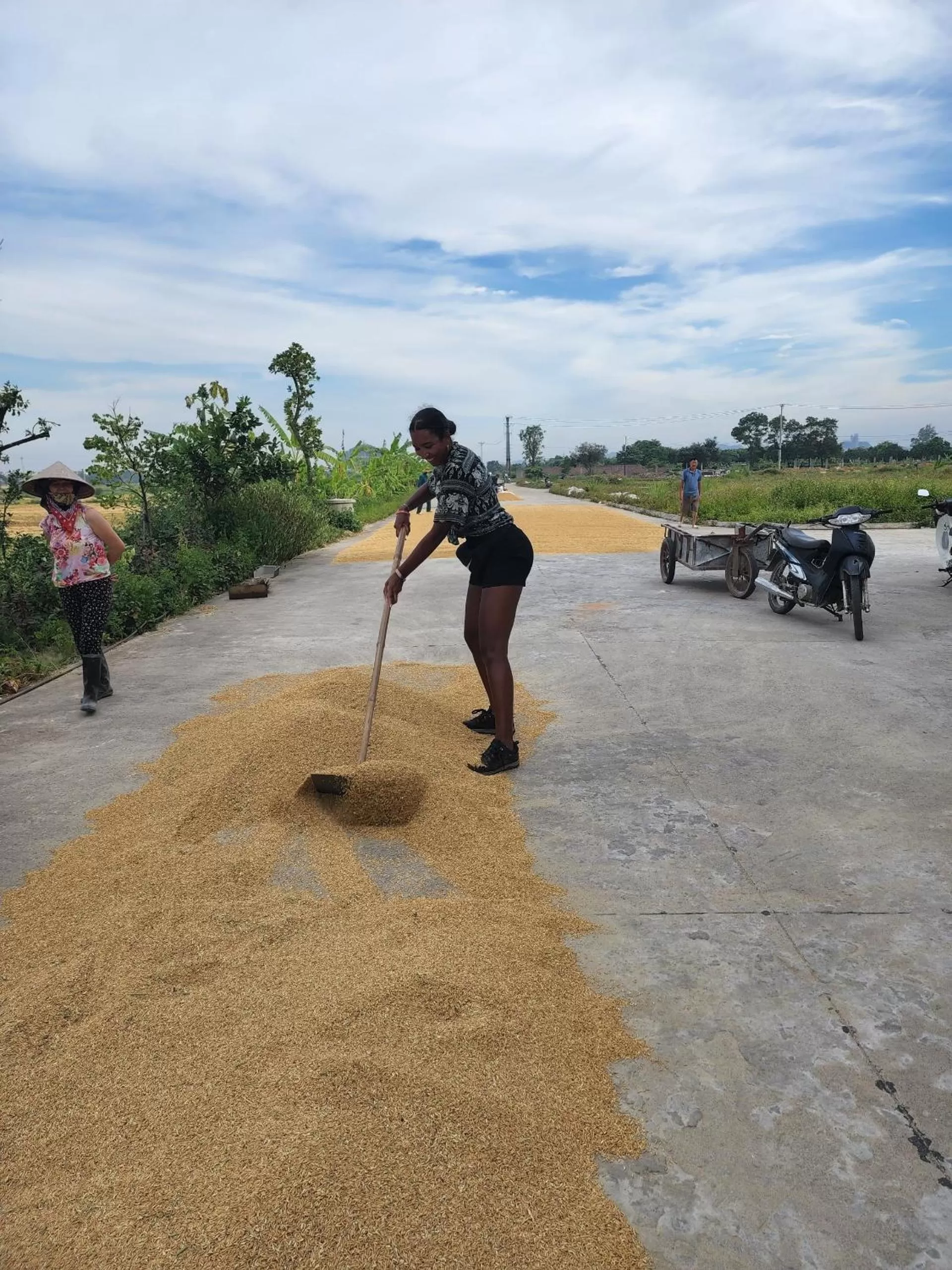 Natural landscape in Lotus Hotel Ninh Bình