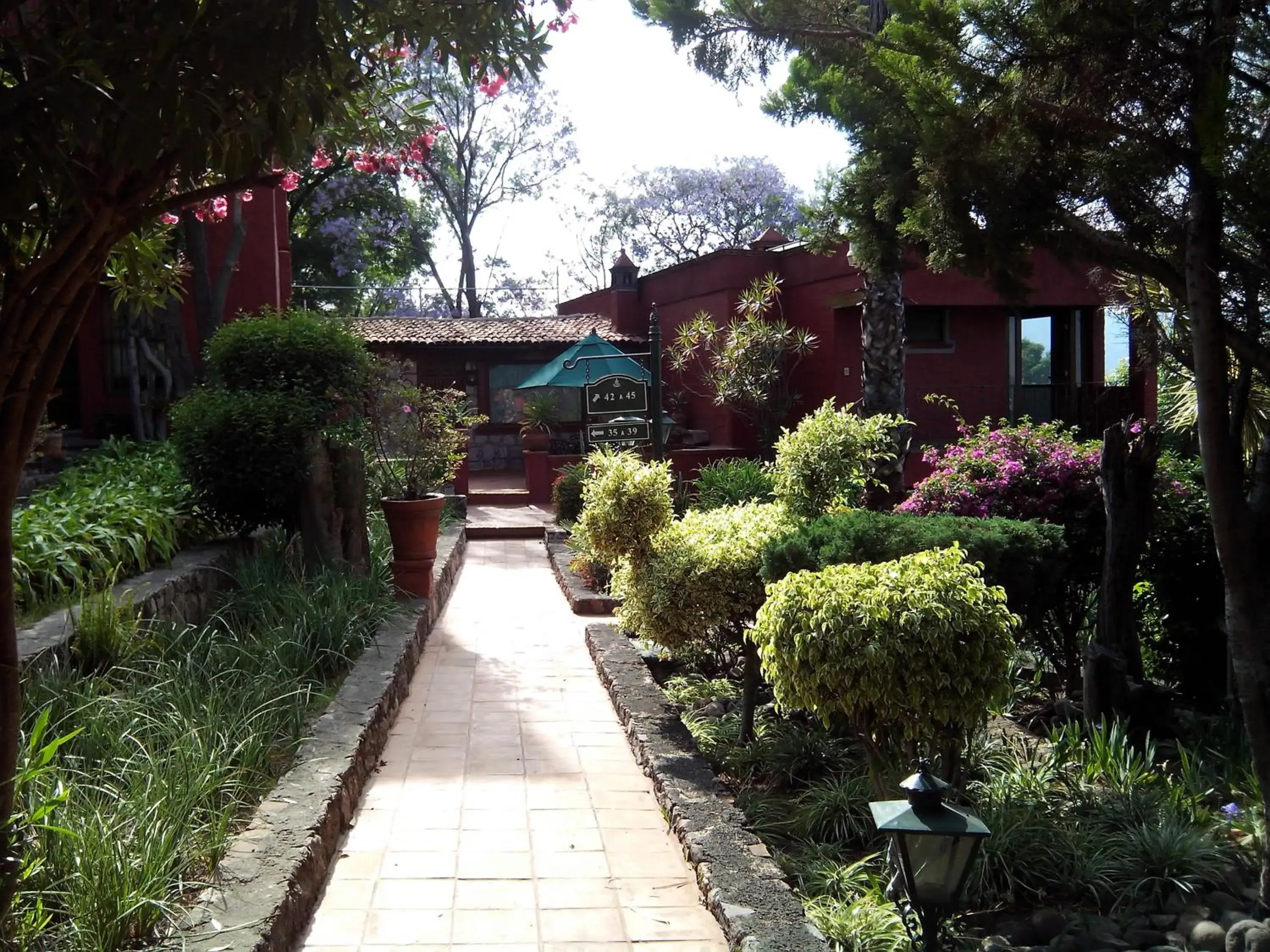 Garden in Villa San Jose Hotel & Suites