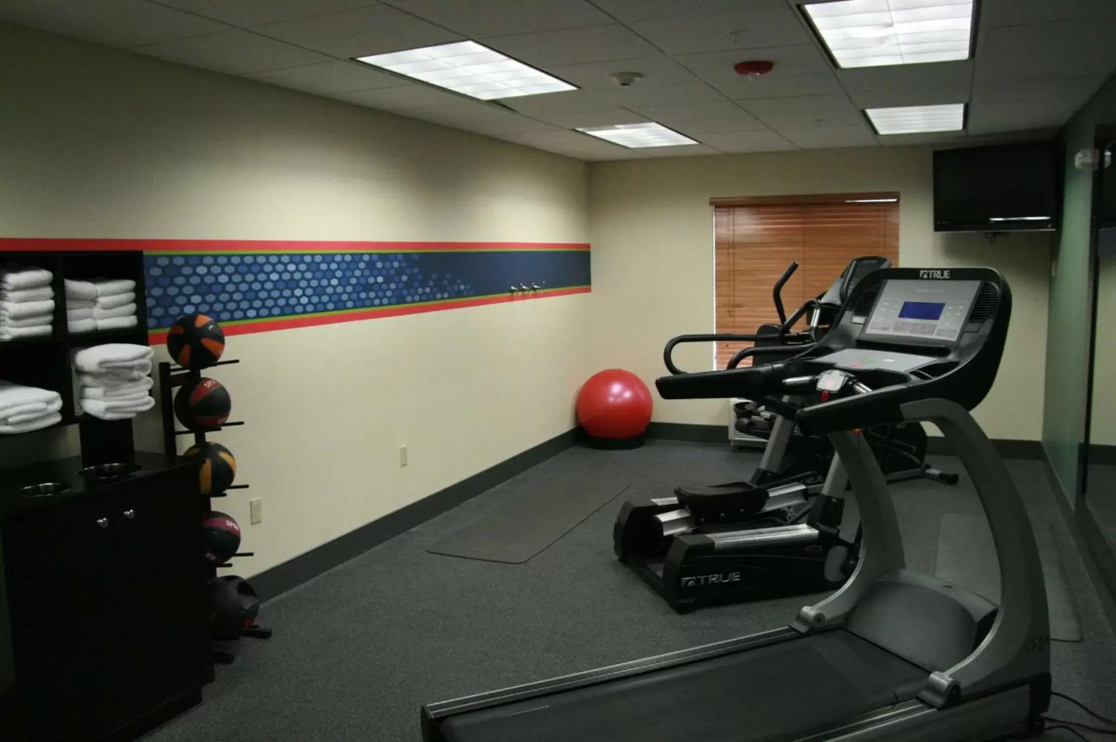 Fitness centre/facilities, Fitness Center/Facilities in Hampton Inn Brentwood