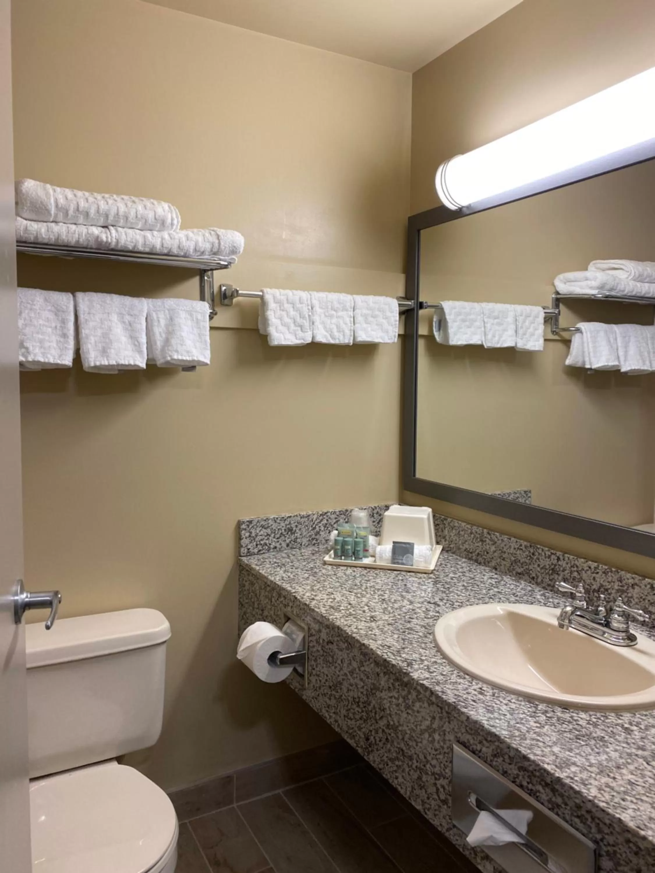 Bathroom in Best Western Strathmore Inn