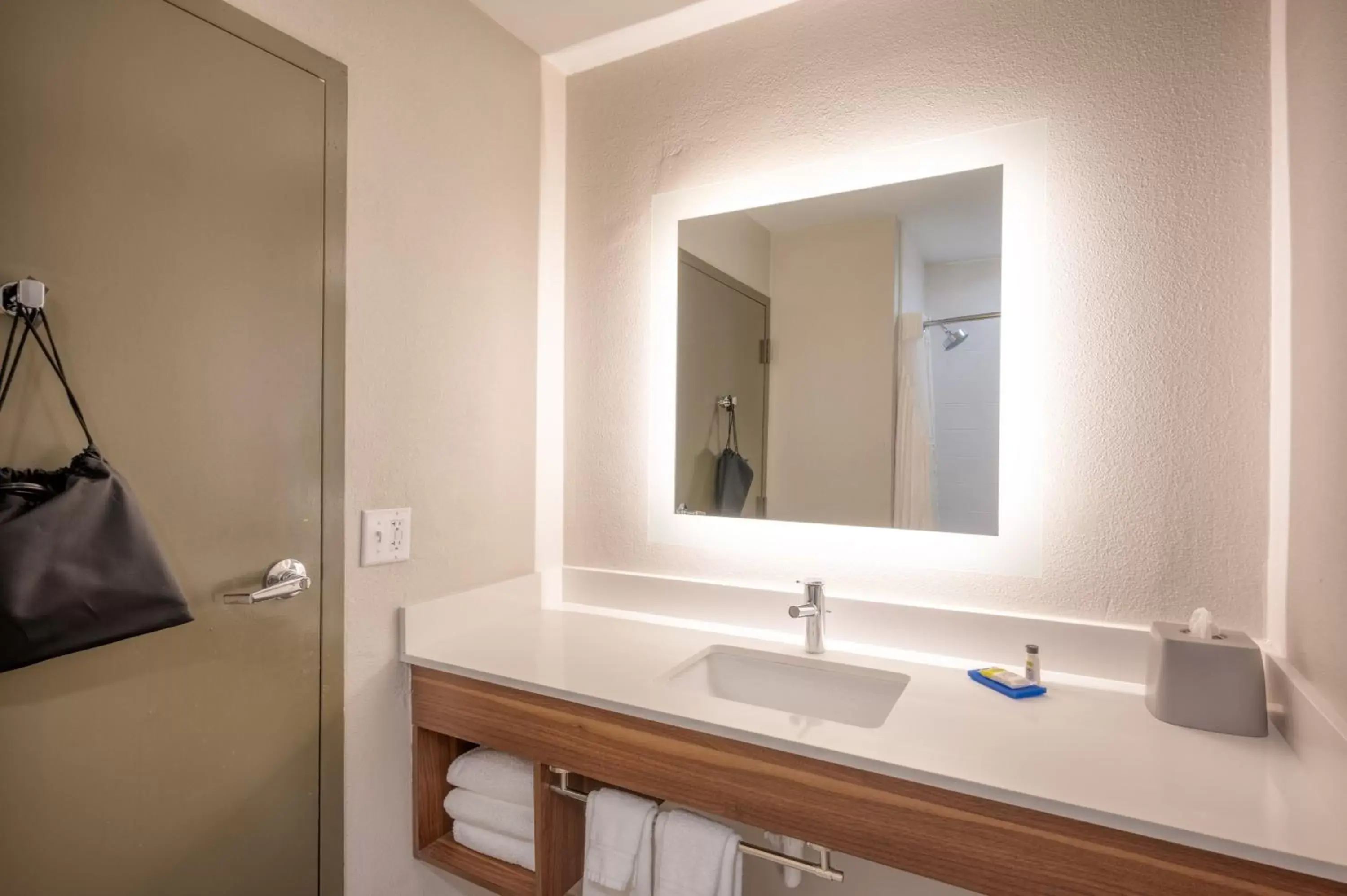 Bathroom in Holiday Inn Express Hotel & Suites Greenville, an IHG Hotel