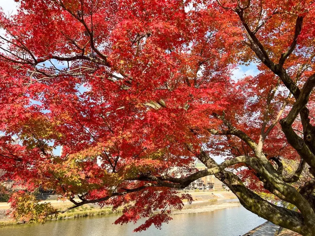 Nearby landmark in Rinn Gion Shirakawa