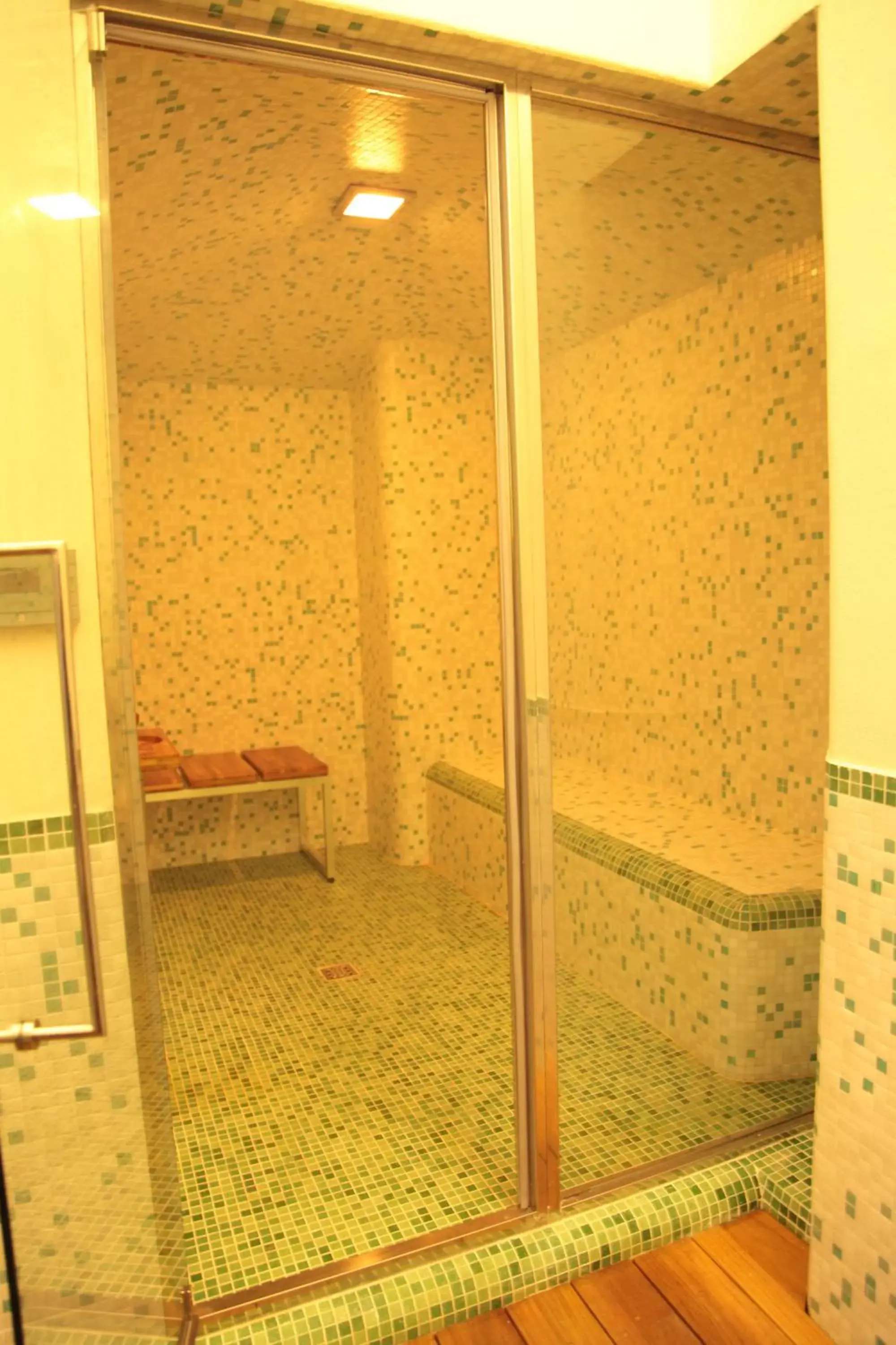Steam room, Bathroom in Hotel La Margherita & SPA