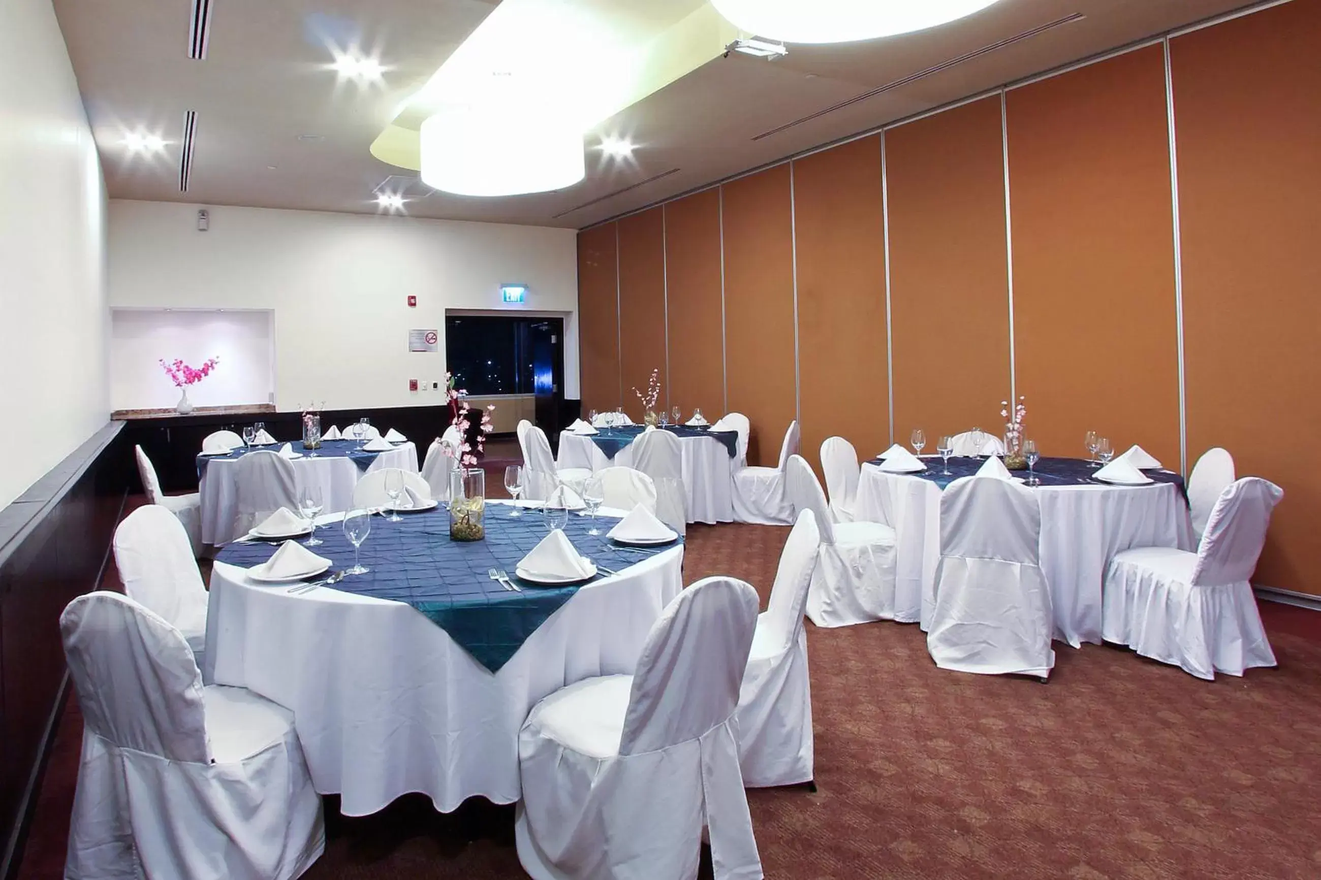 Meeting/conference room, Banquet Facilities in Fiesta Inn Durango