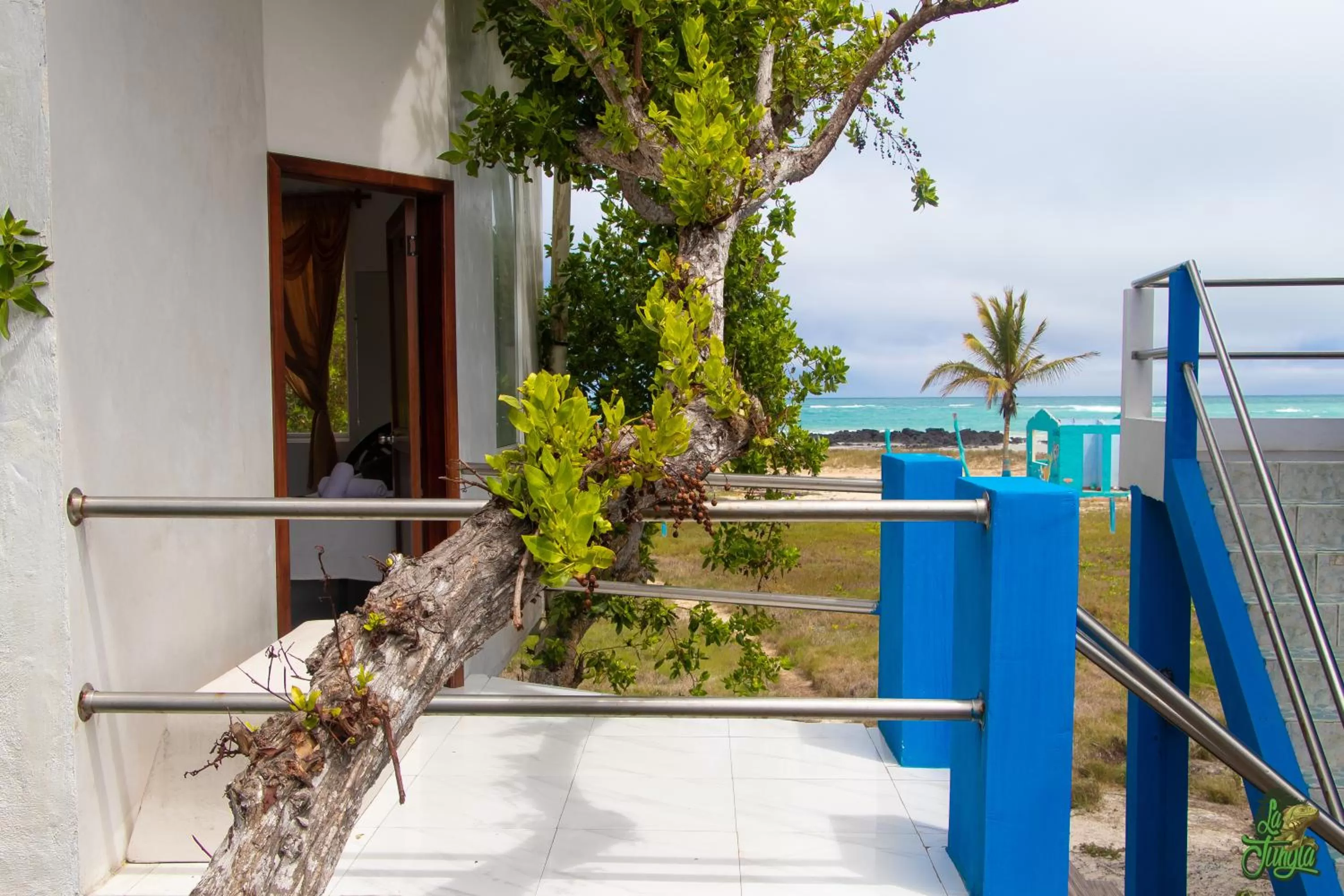 Balcony/Terrace in Hotel La Jungla