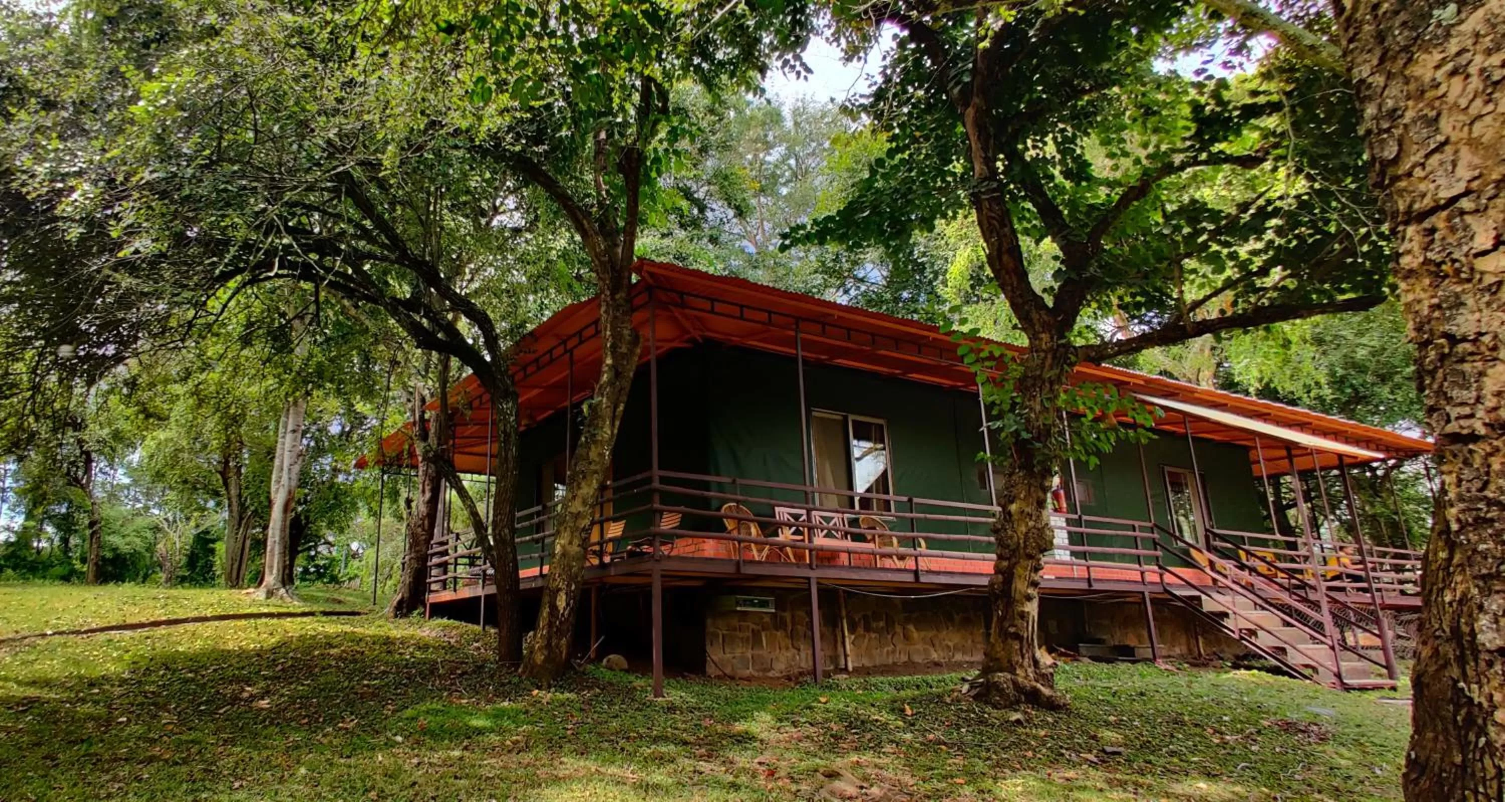 Property building in Jungle Hut Resort
