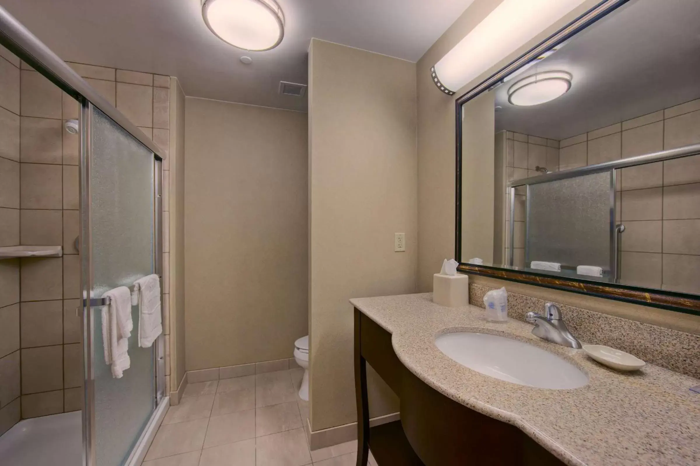 Bathroom in Hampton Inn & Suites Oklahoma City-Bricktown