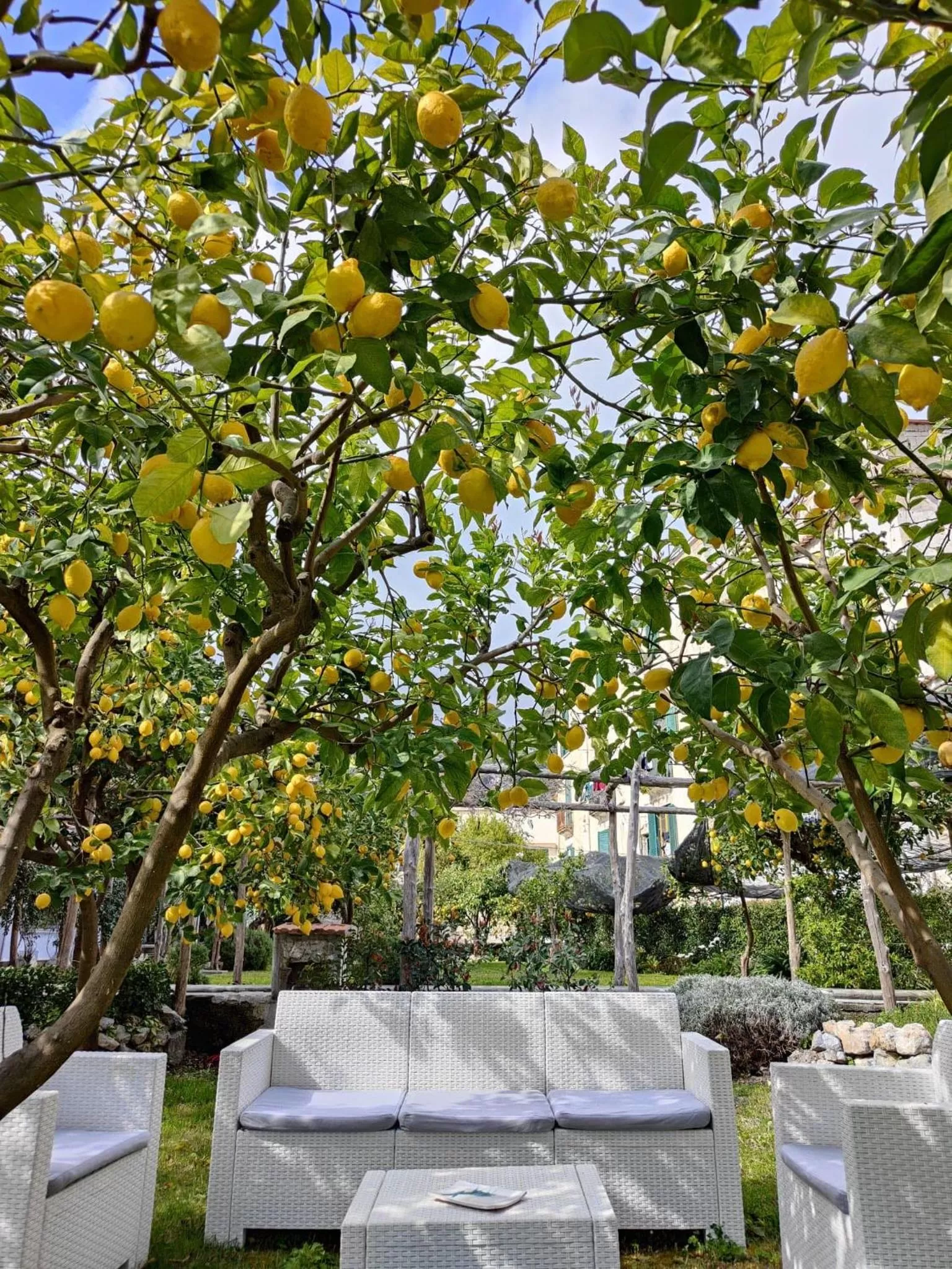 Garden in Casa Amorino